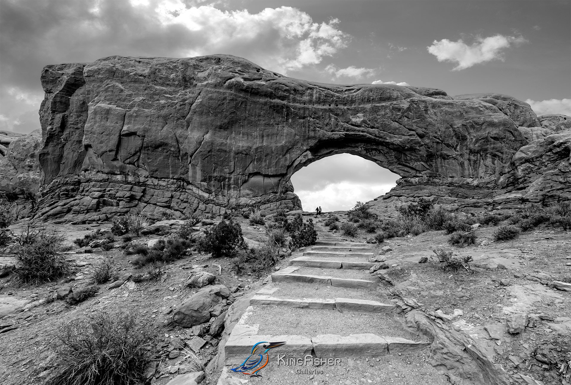 003_DST_Arches_NP_UT_USA_2012_L_BW.jpg