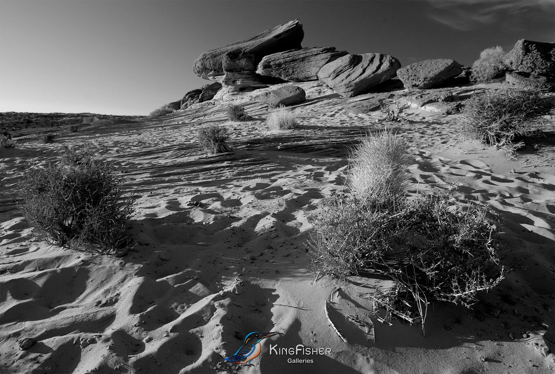 002_DST_Horseshoe_Bend_AZ_USA_2012_L_BW.jpg