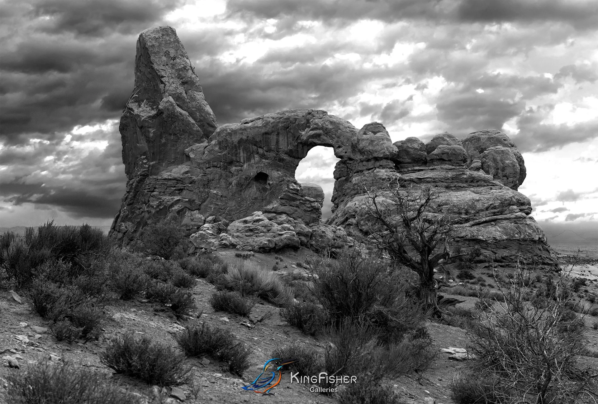 028_DST_Arches_NP_UT_USA_2012_L_BW.jpg