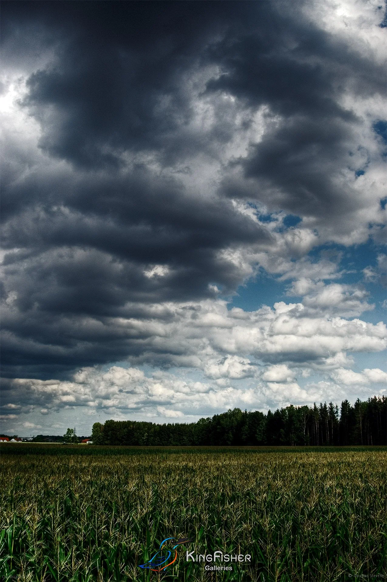 009_DST_Cloudscapes_2010_P.jpg