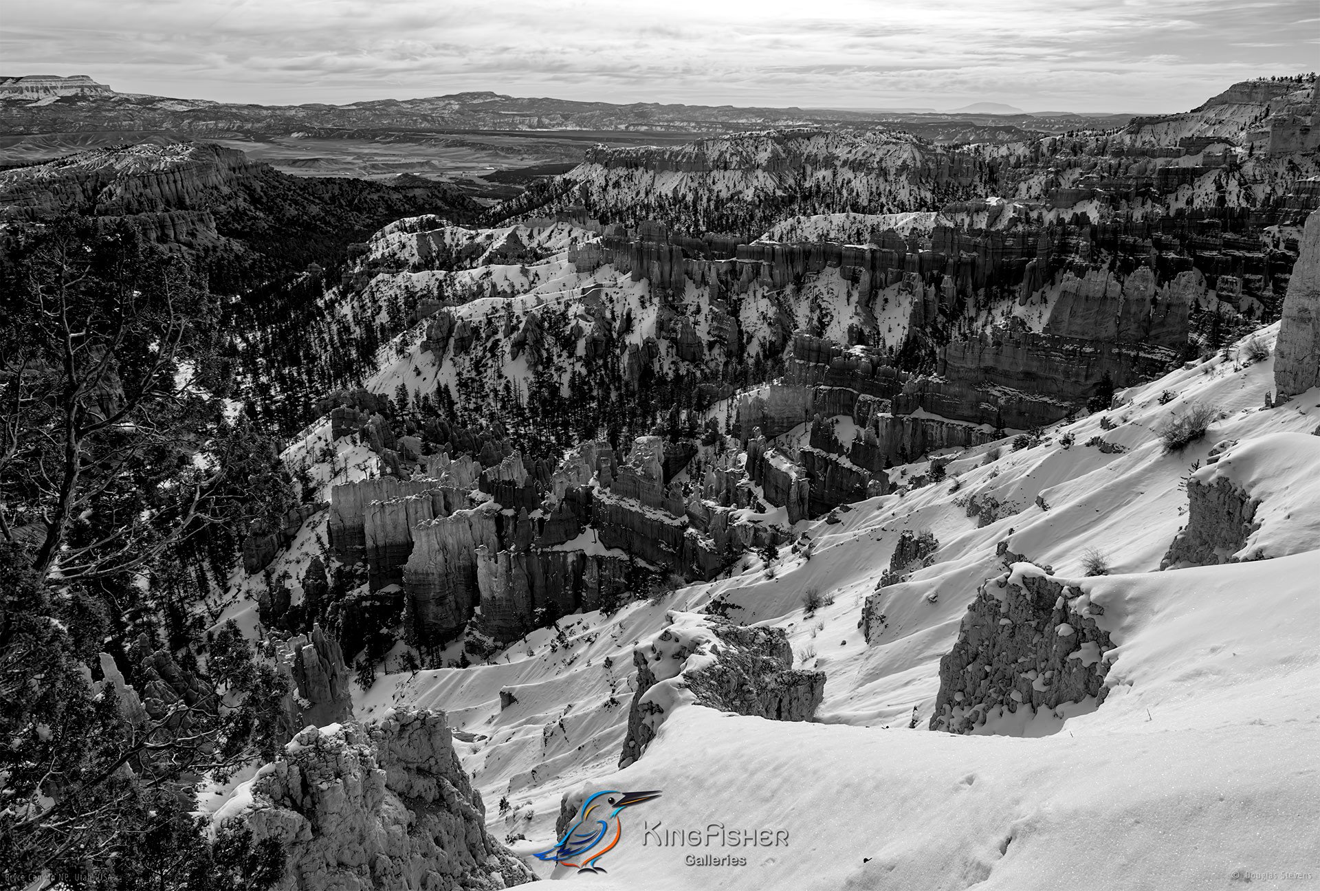 031_DST_Bryce_Canyon_NP_UT_USA_2012_L_BW.jpg