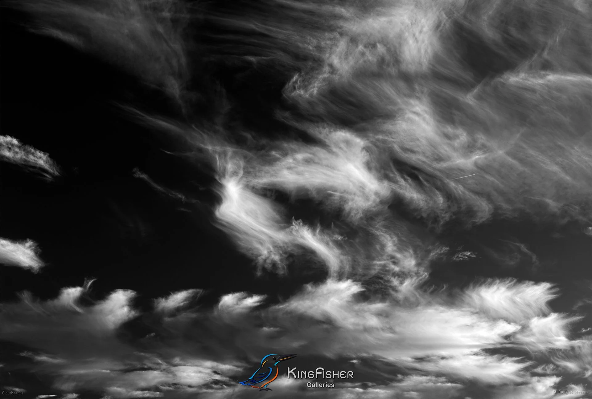 096_DST_Cloudscapes_2014_L_BW.jpg