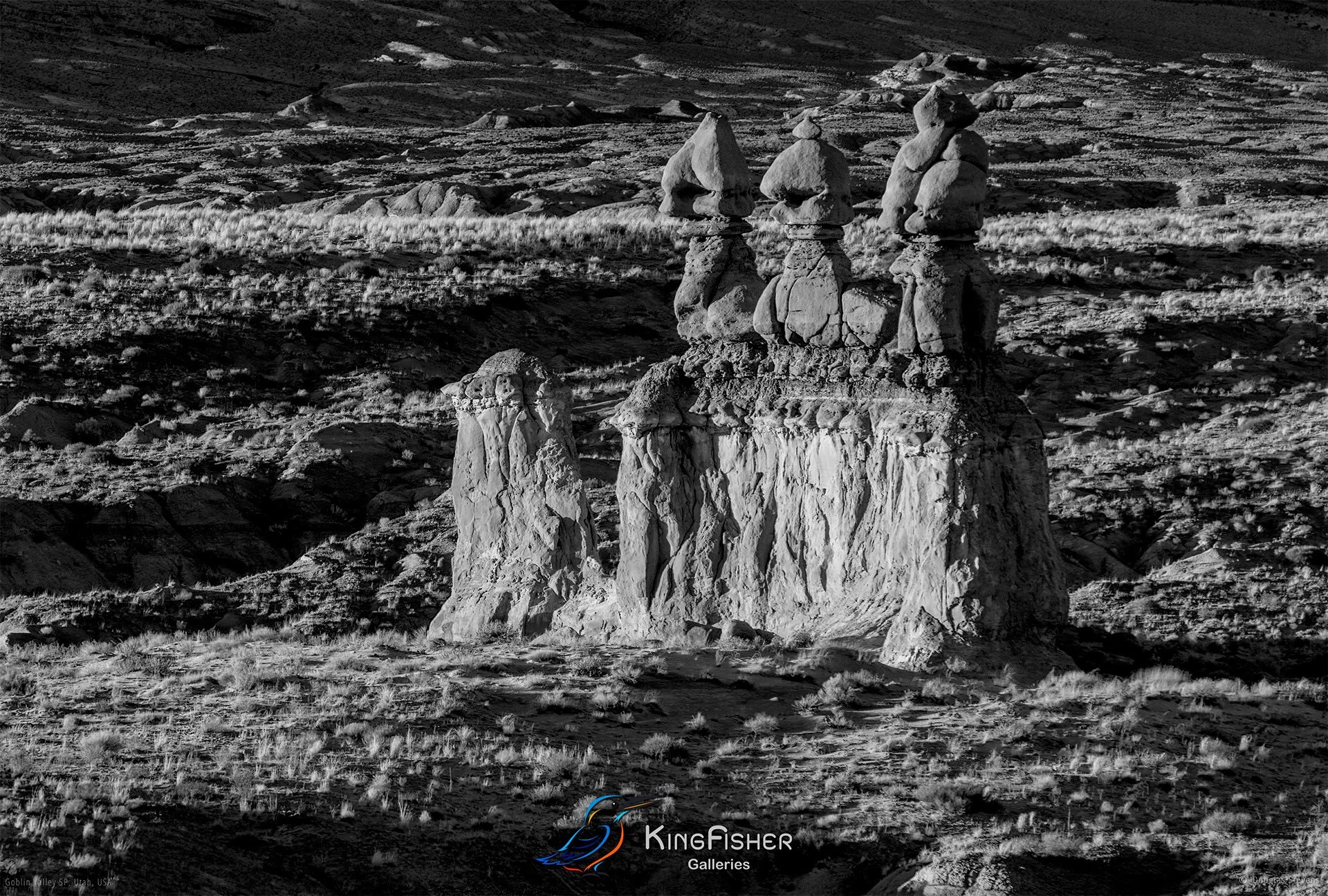 010_DST_Goblin_Valley_SP_UT_USA_2012_L_BW.jpg