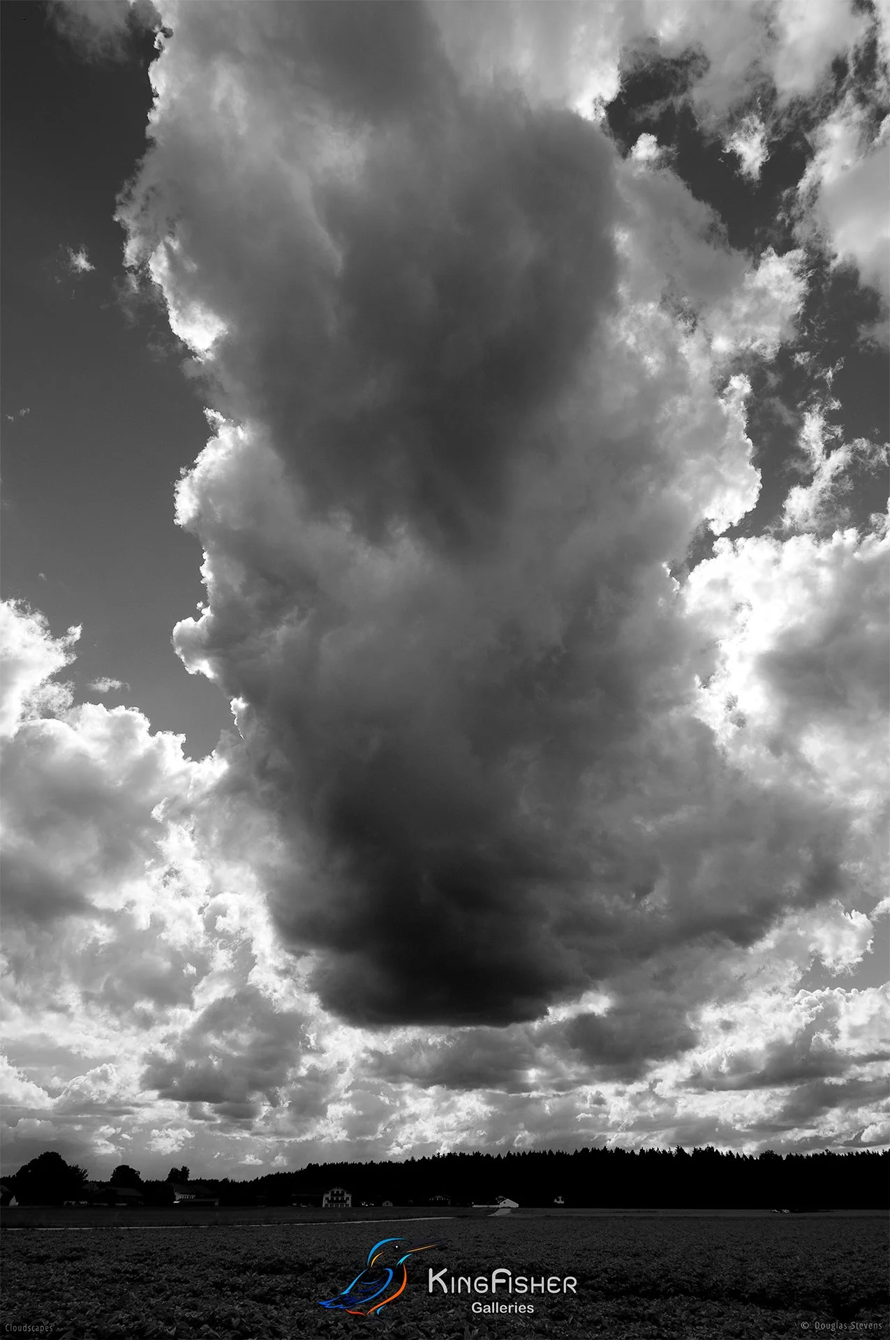 018_DST_Cloudscapes_2010_P_BW.jpg