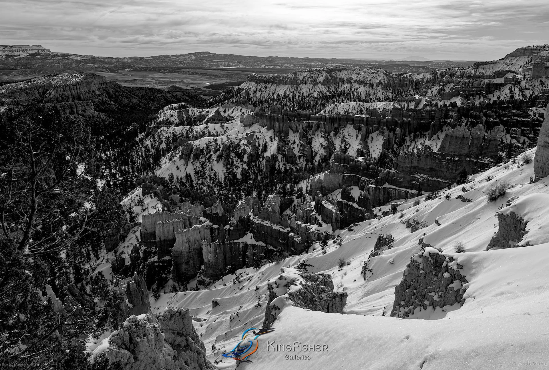 030_DST_Bryce_Canyon_NP_UT_USA_2012_L_BW.jpg