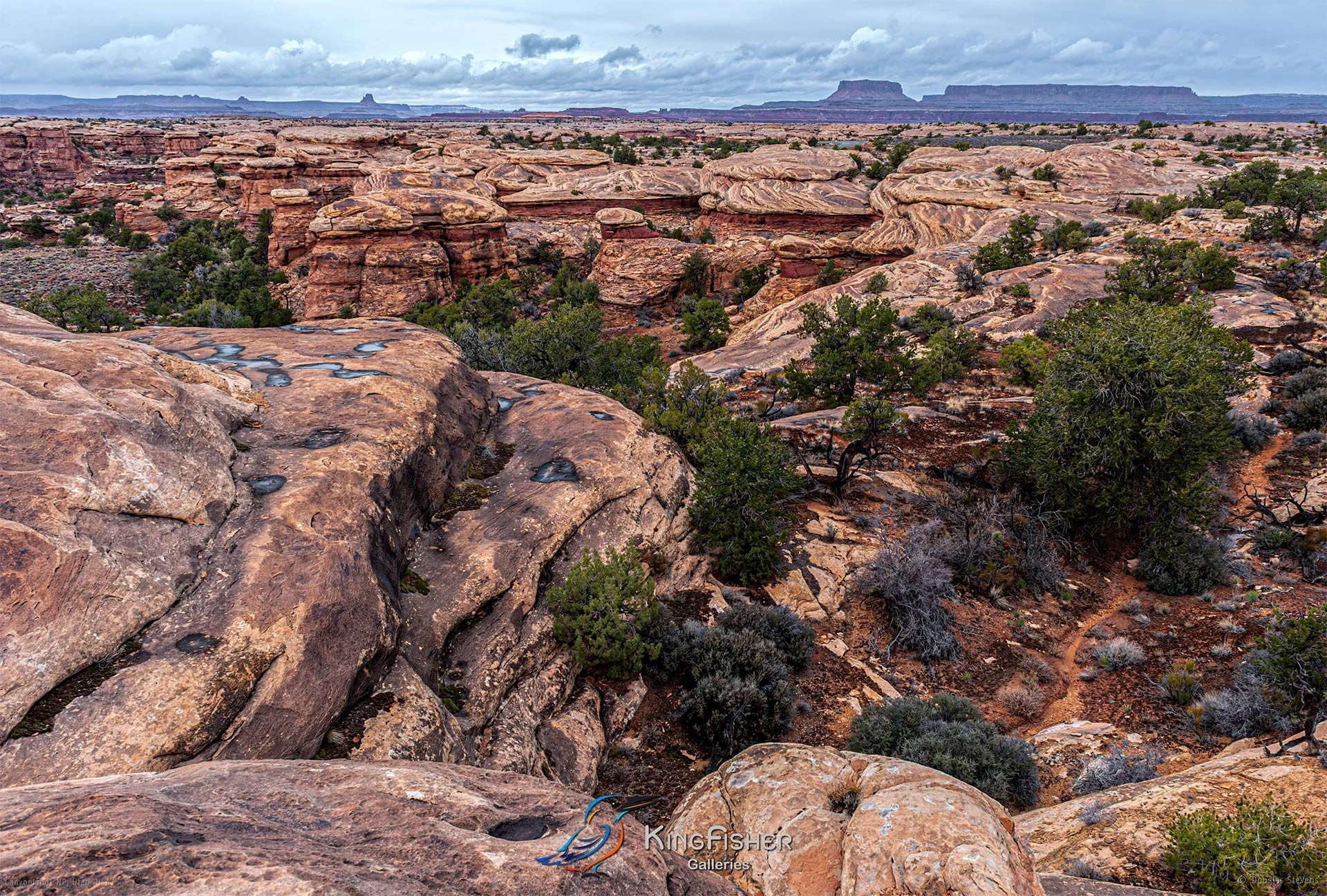 101_DST_Canyonlands_NP_UT_USA_2012_L.jpg
