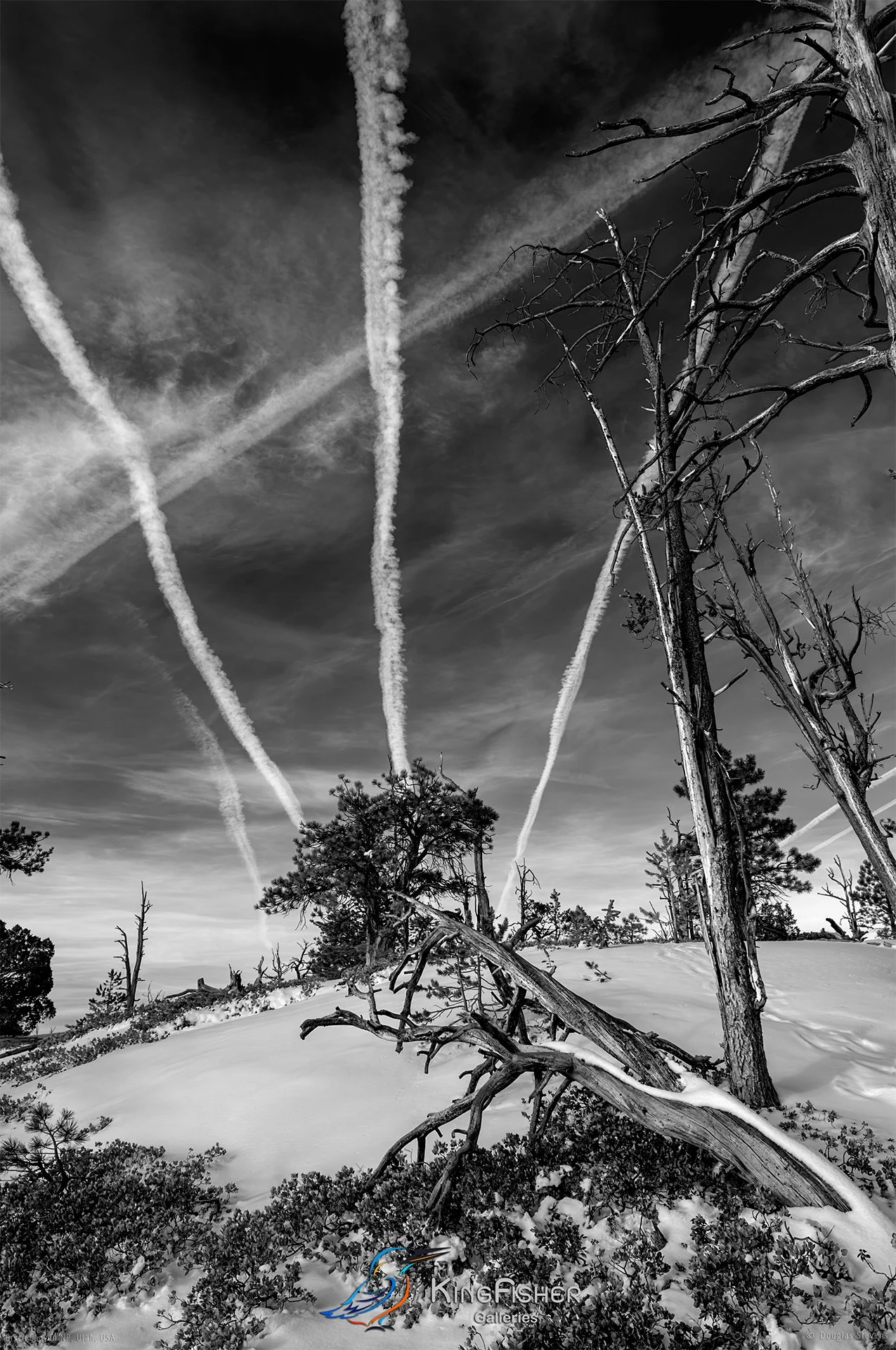 034_DST_Bryce_Canyon_NP_UT_USA_2012_P_BW.jpg