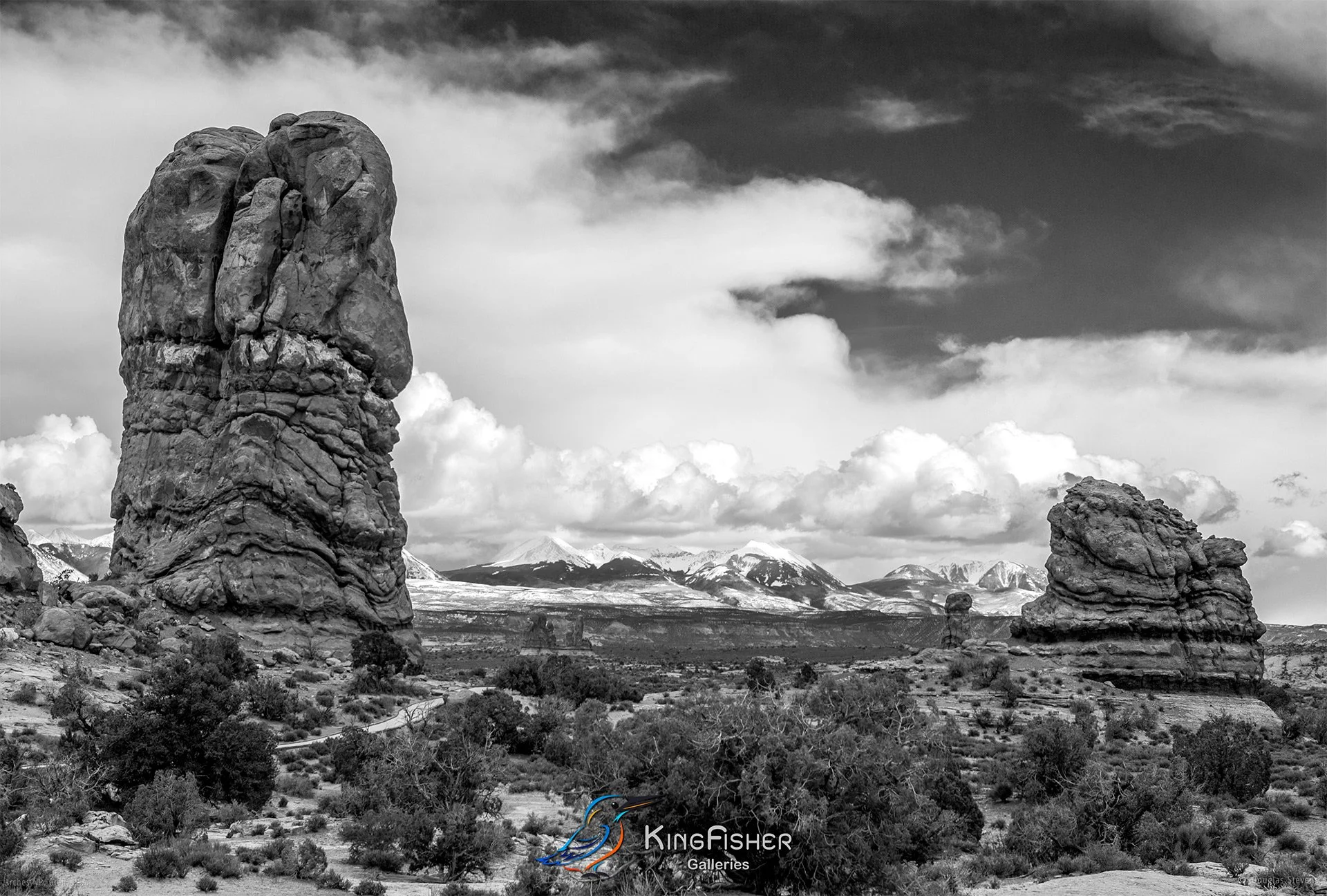 016_DST_Arches_NP_UT_USA_2012_L_BW.jpg