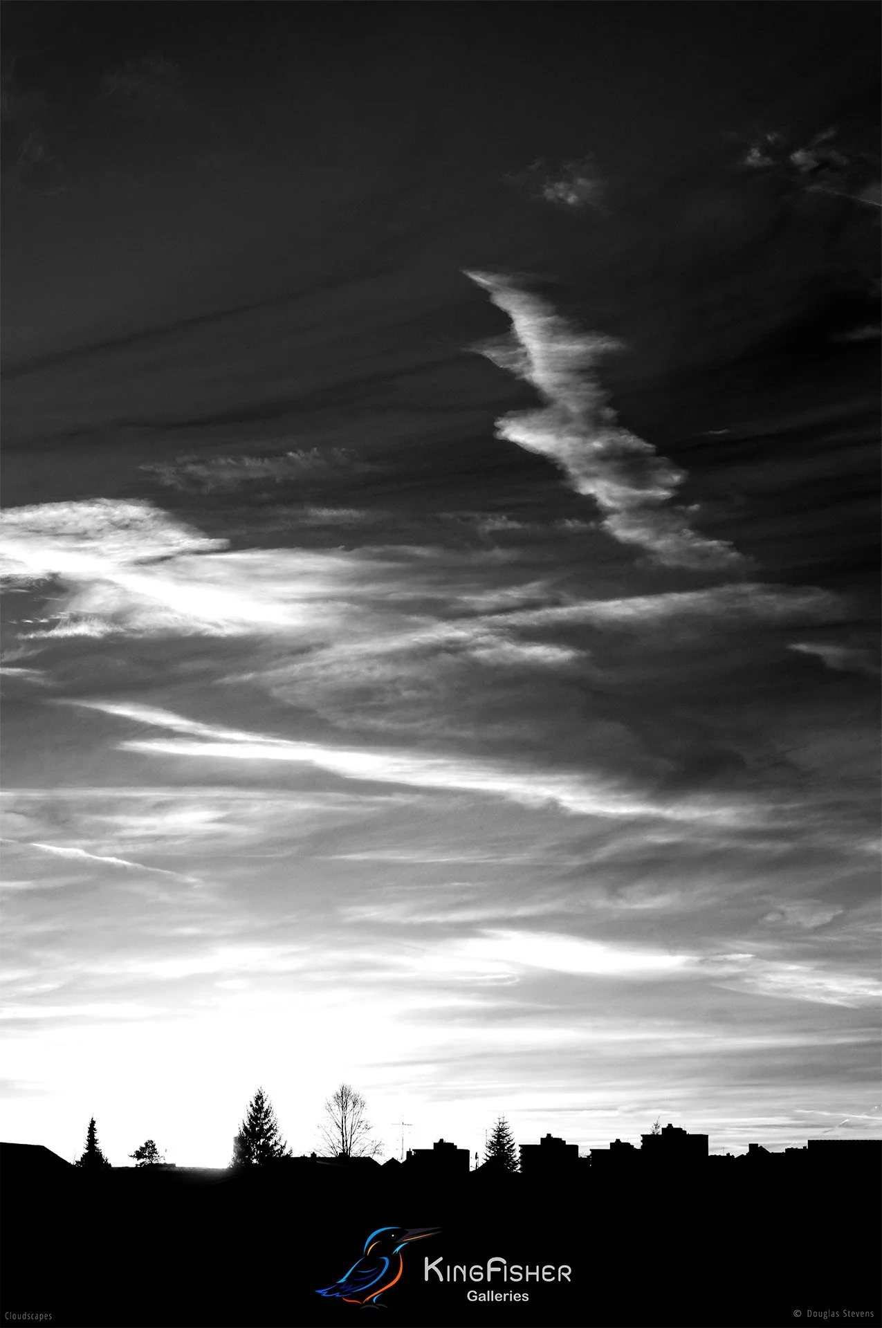 102_DST_Cloudscapes_2014_P_BW.jpg