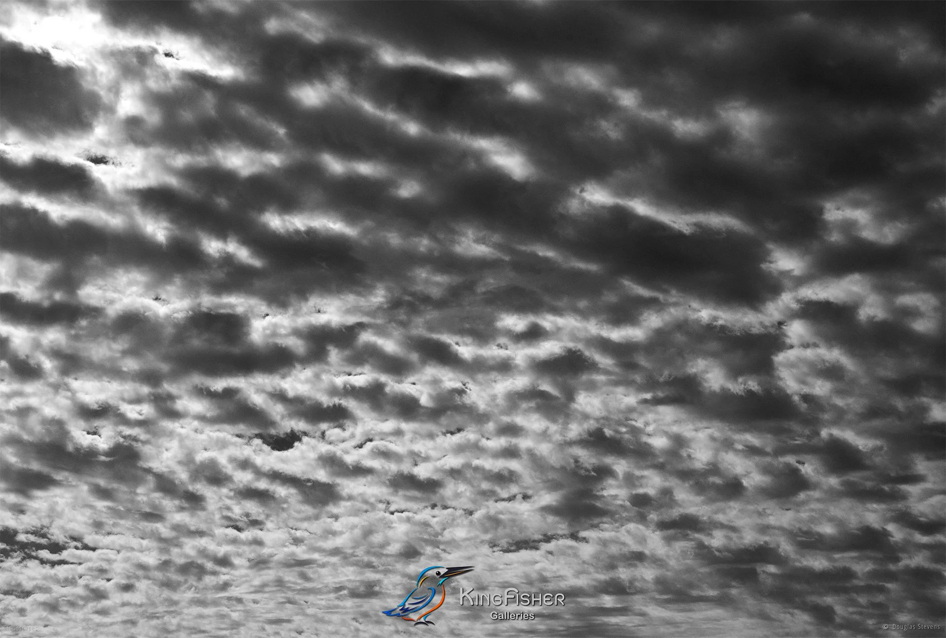 065_DST_Cloudscapes_2012_L_BW.jpg