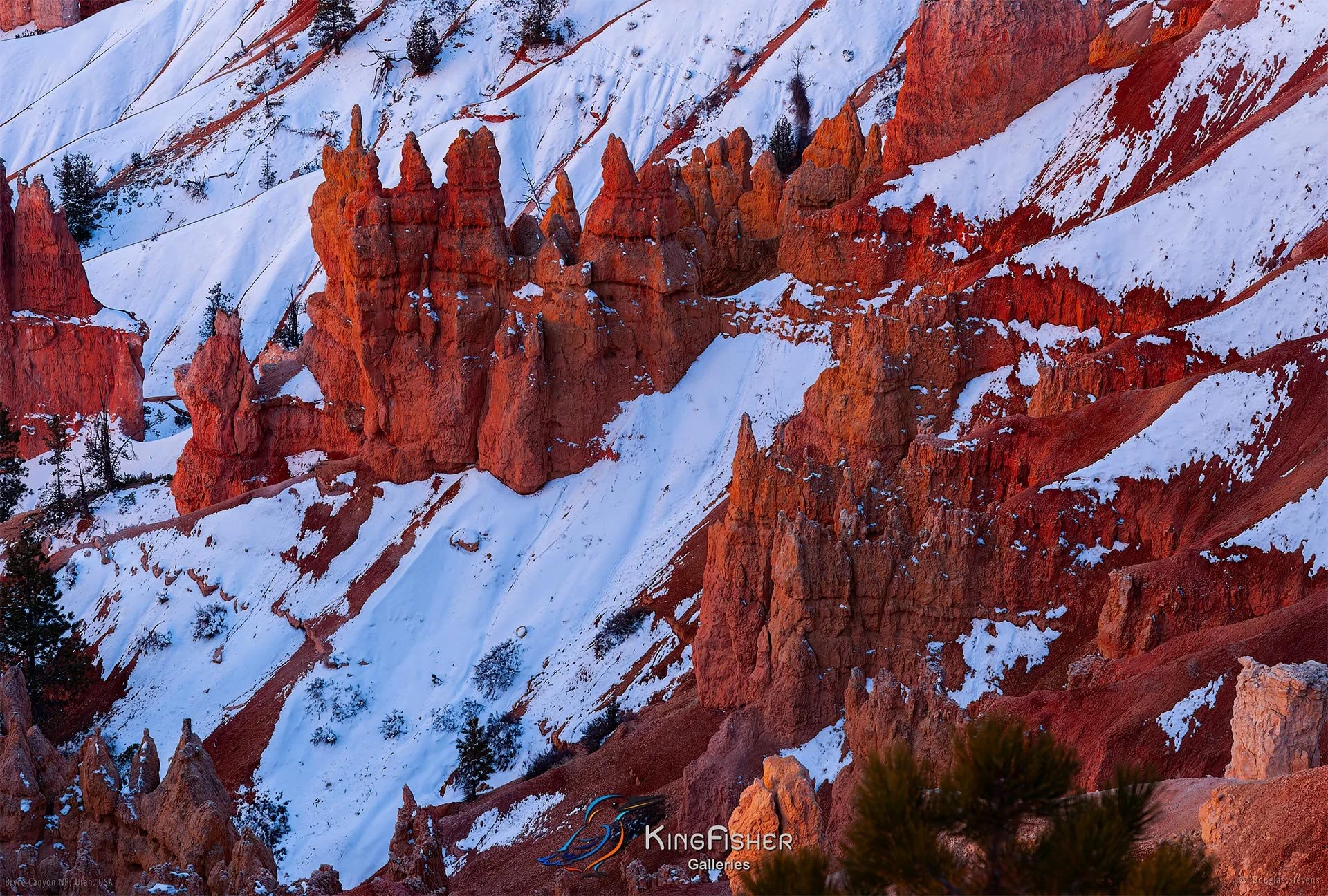 007_DST_Bryce_Canyon_NP_UT_USA_2012_L.jpg
