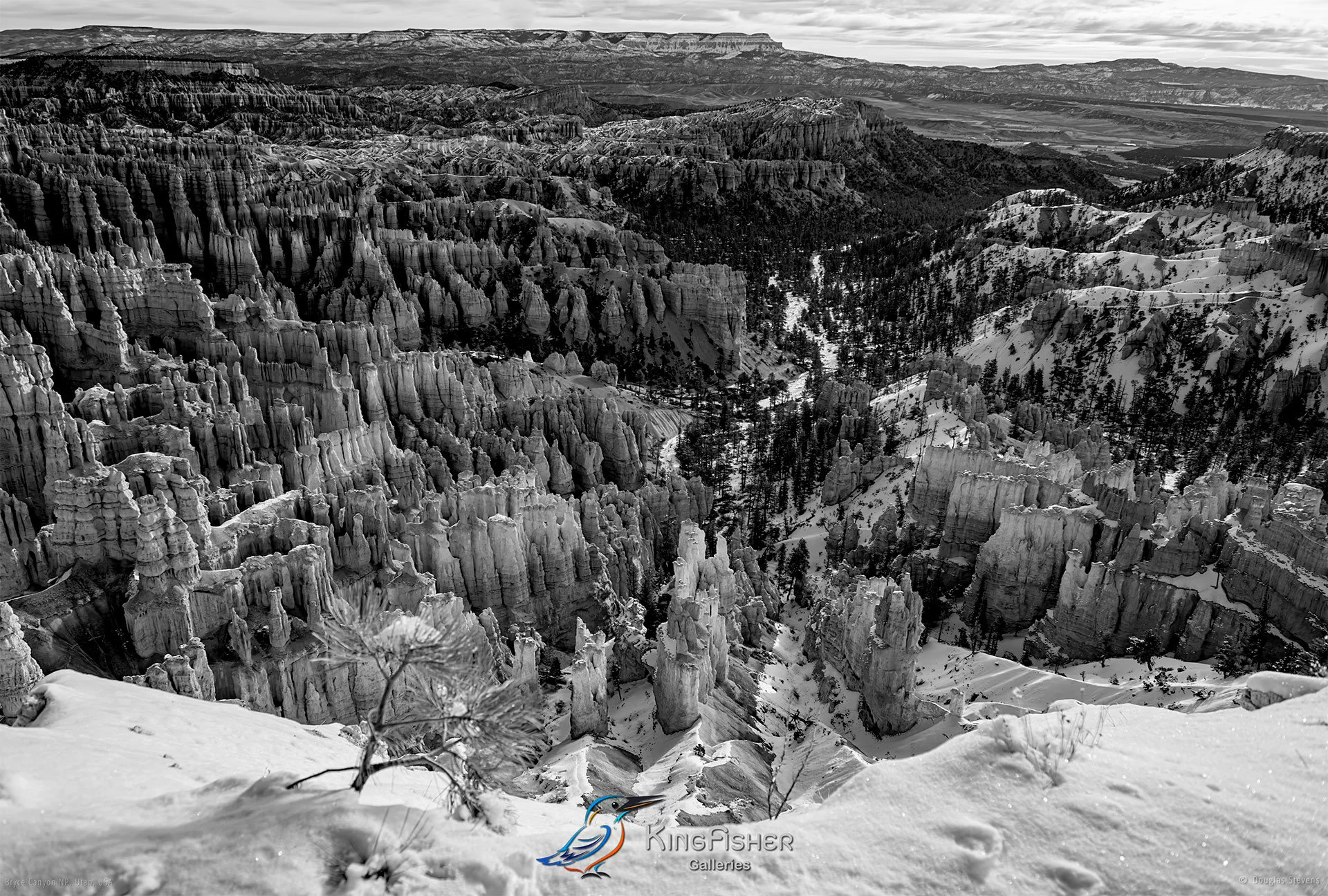 042_DST_Bryce_Canyon_NP_UT_USA_2012_L_BW.jpg