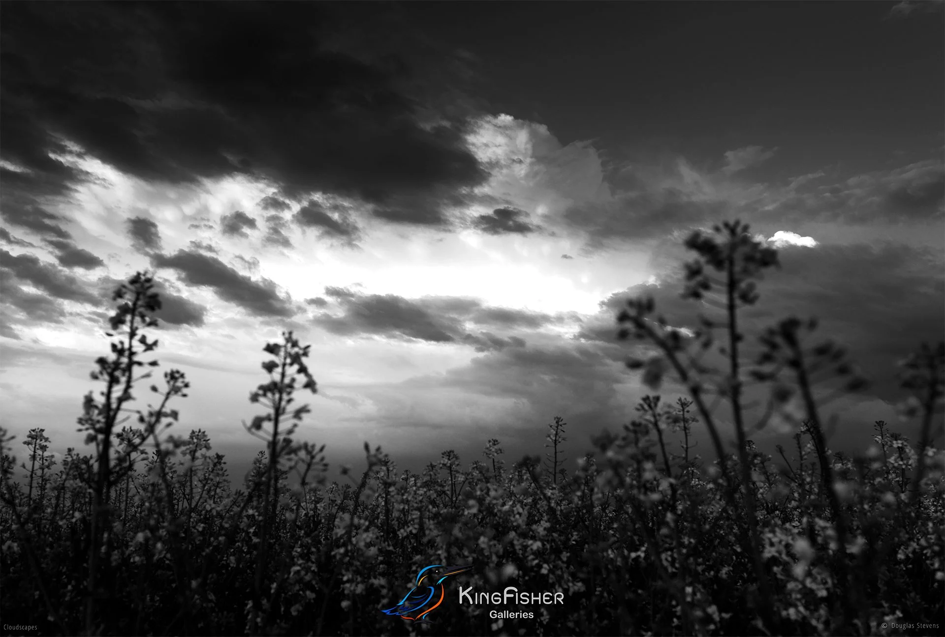 057_DST_Cloudscapes_2012_L_BW.jpg