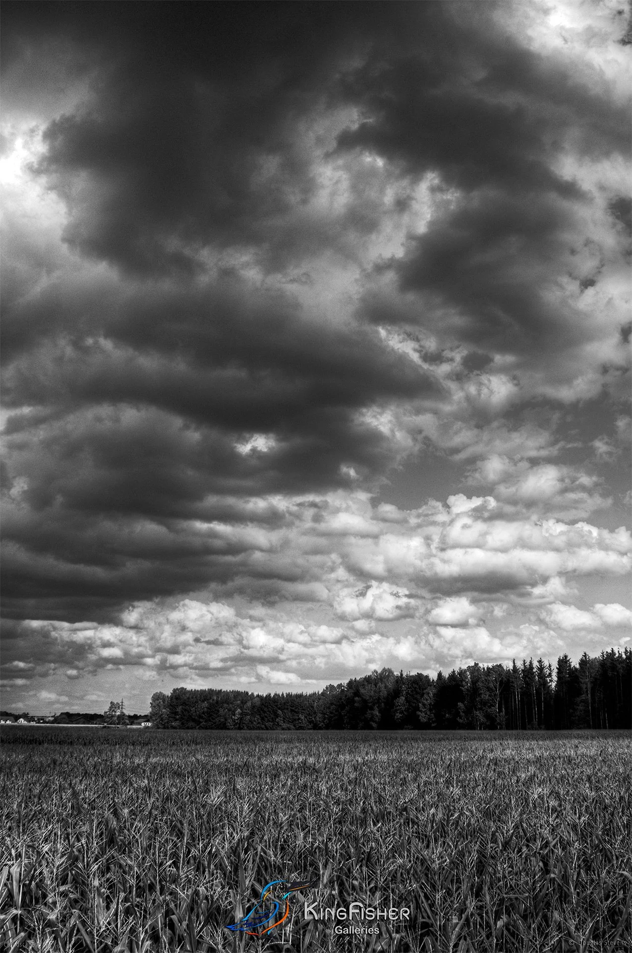 009_DST_Cloudscapes_2010_P_BW.jpg