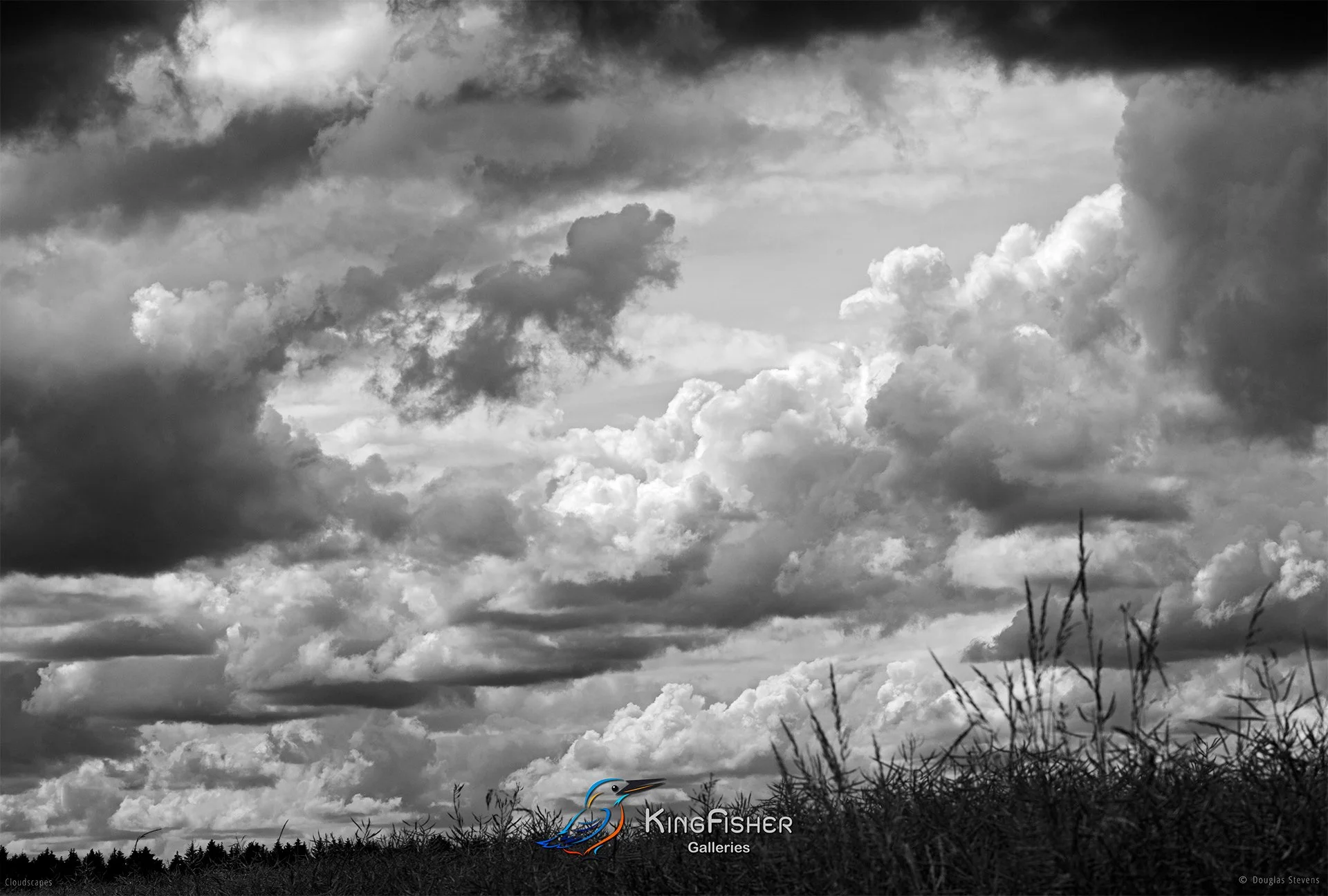145_DST_Cloudscapes_2016_L_BW.jpg