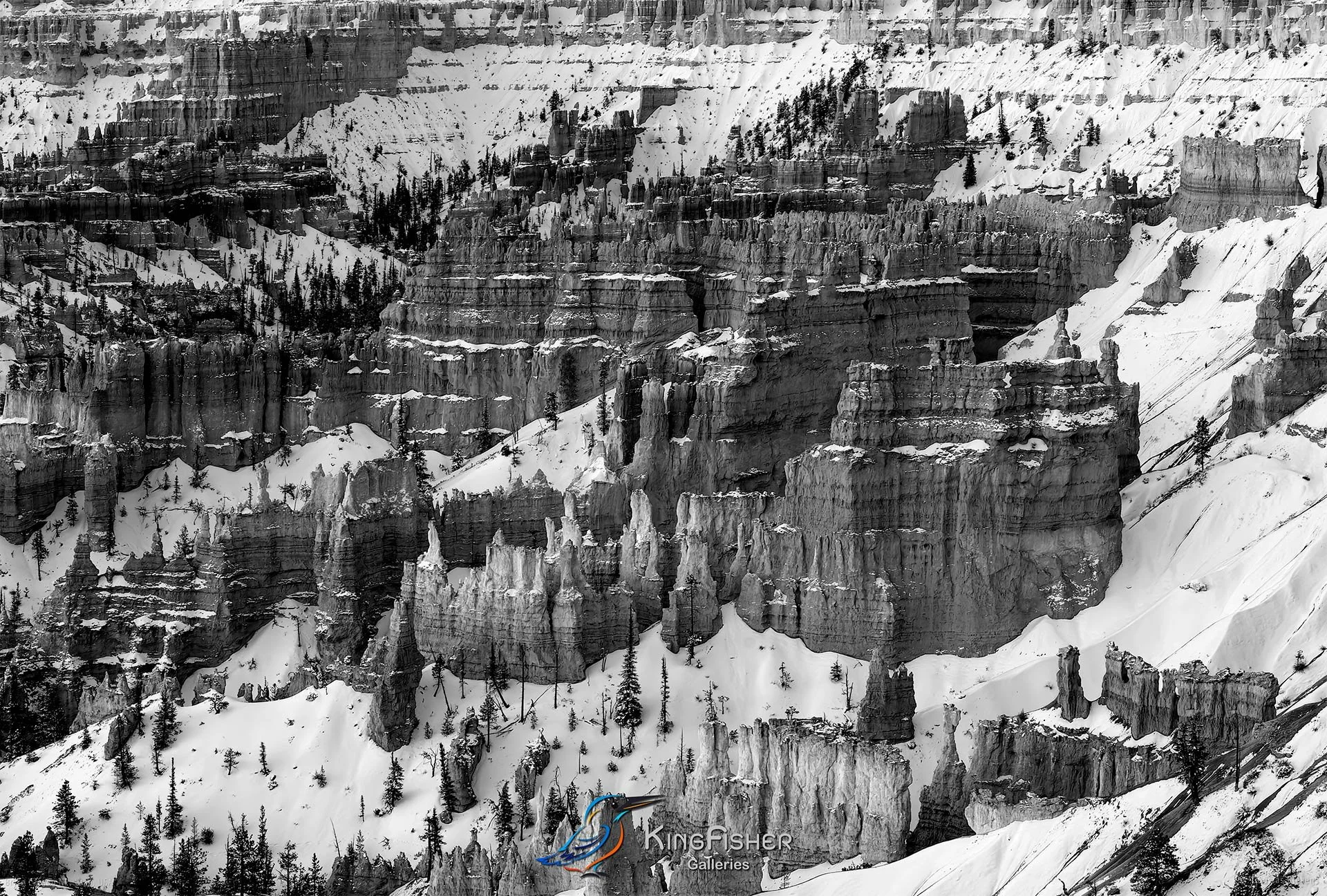 005_DST_Bryce_Canyon_NP_UT_USA_2012_L_BW.jpg