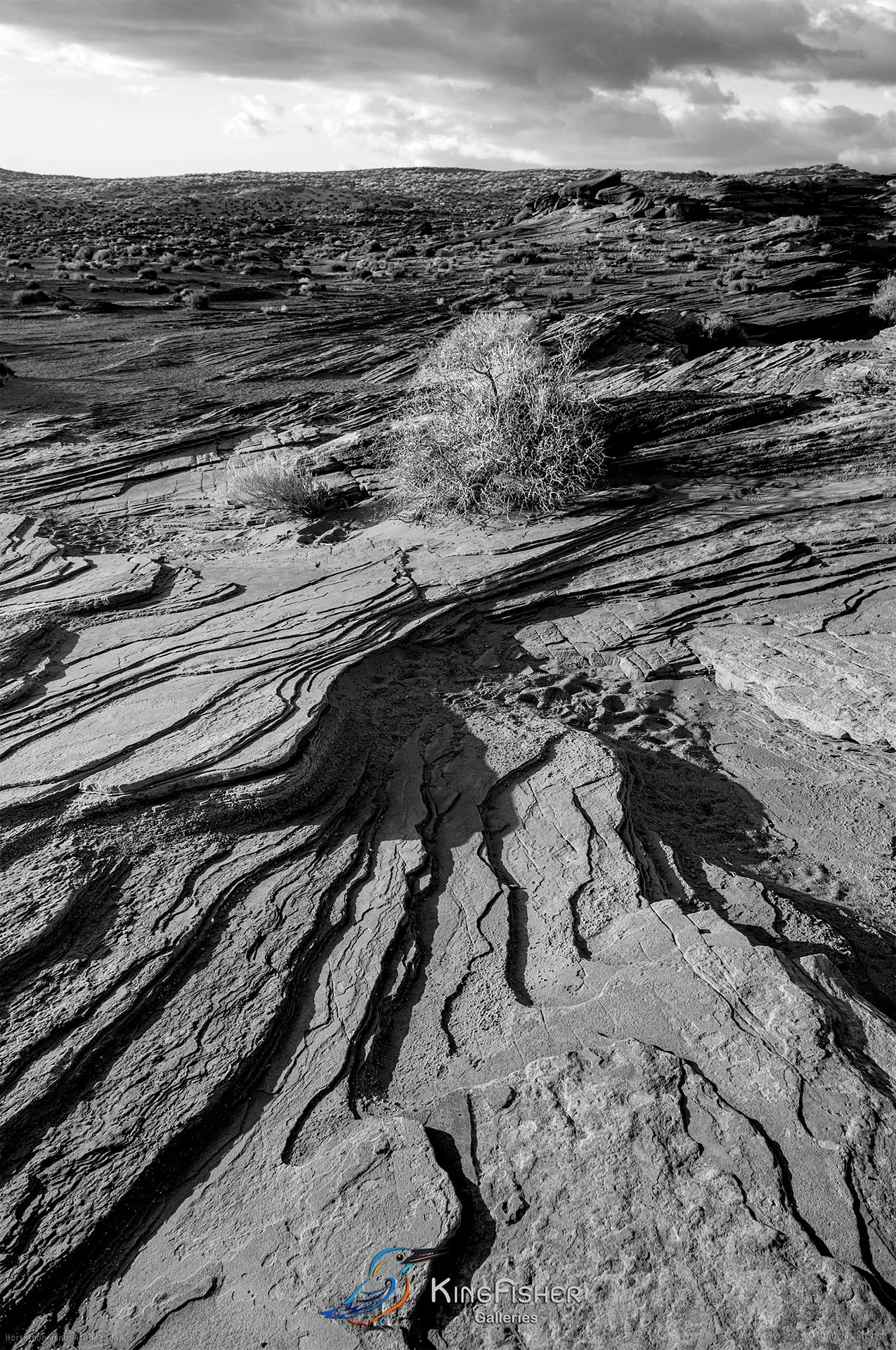 011_DST_Horseshoe_Bend_AZ_USA_2012_P_BW.jpg