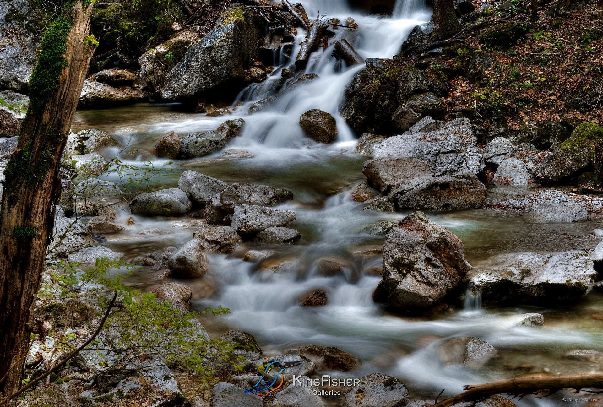 010_DST_The_Power_Of_Water_L.jpg
