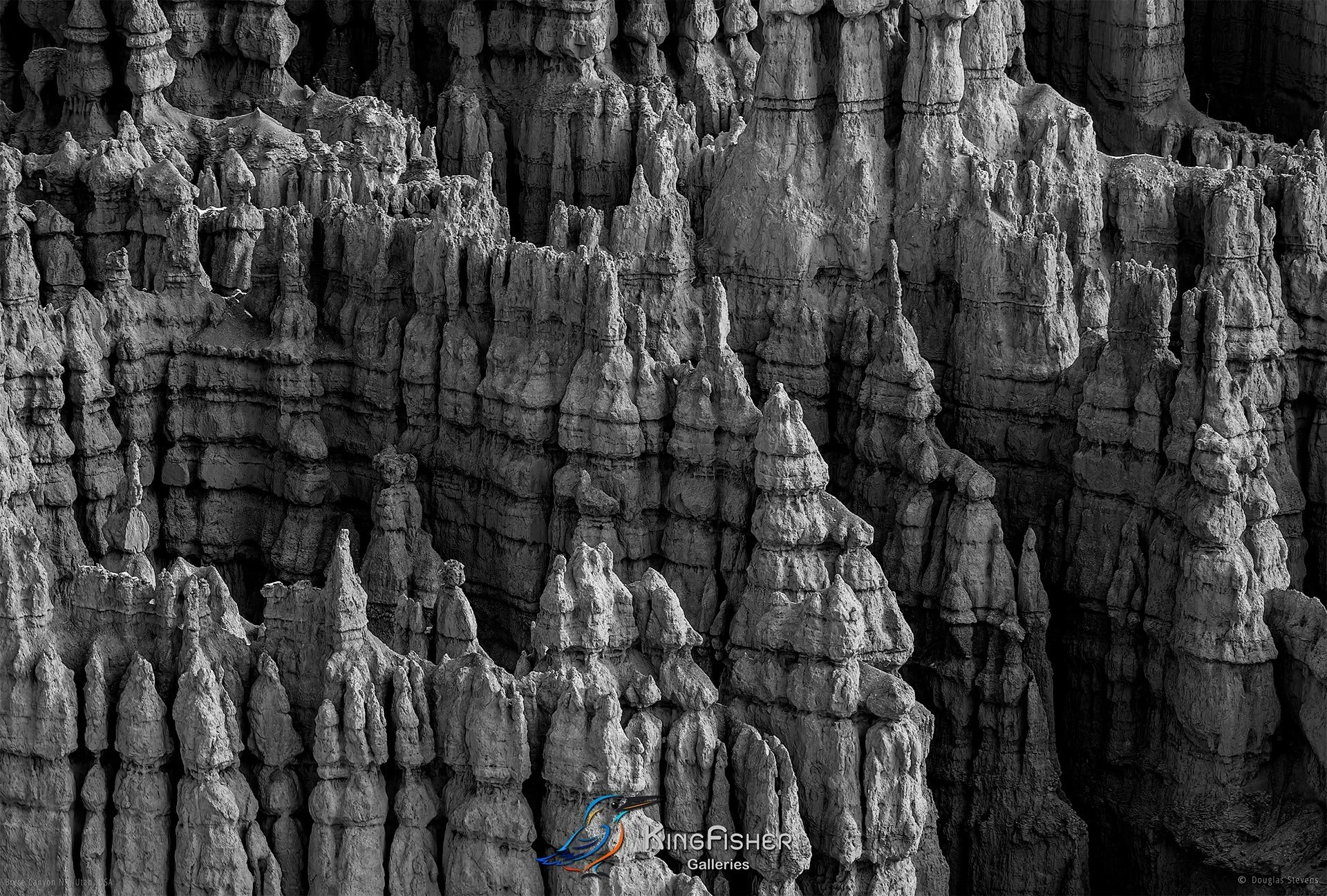 014_DST_Bryce_Canyon_NP_UT_USA_2012_L_BW.jpg