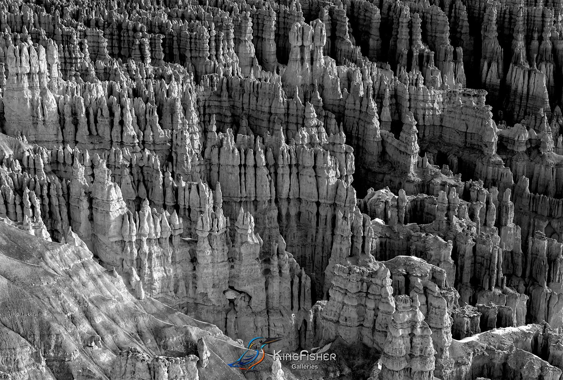 043_DST_Bryce_Canyon_NP_UT_USA_2012_L_BW.jpg