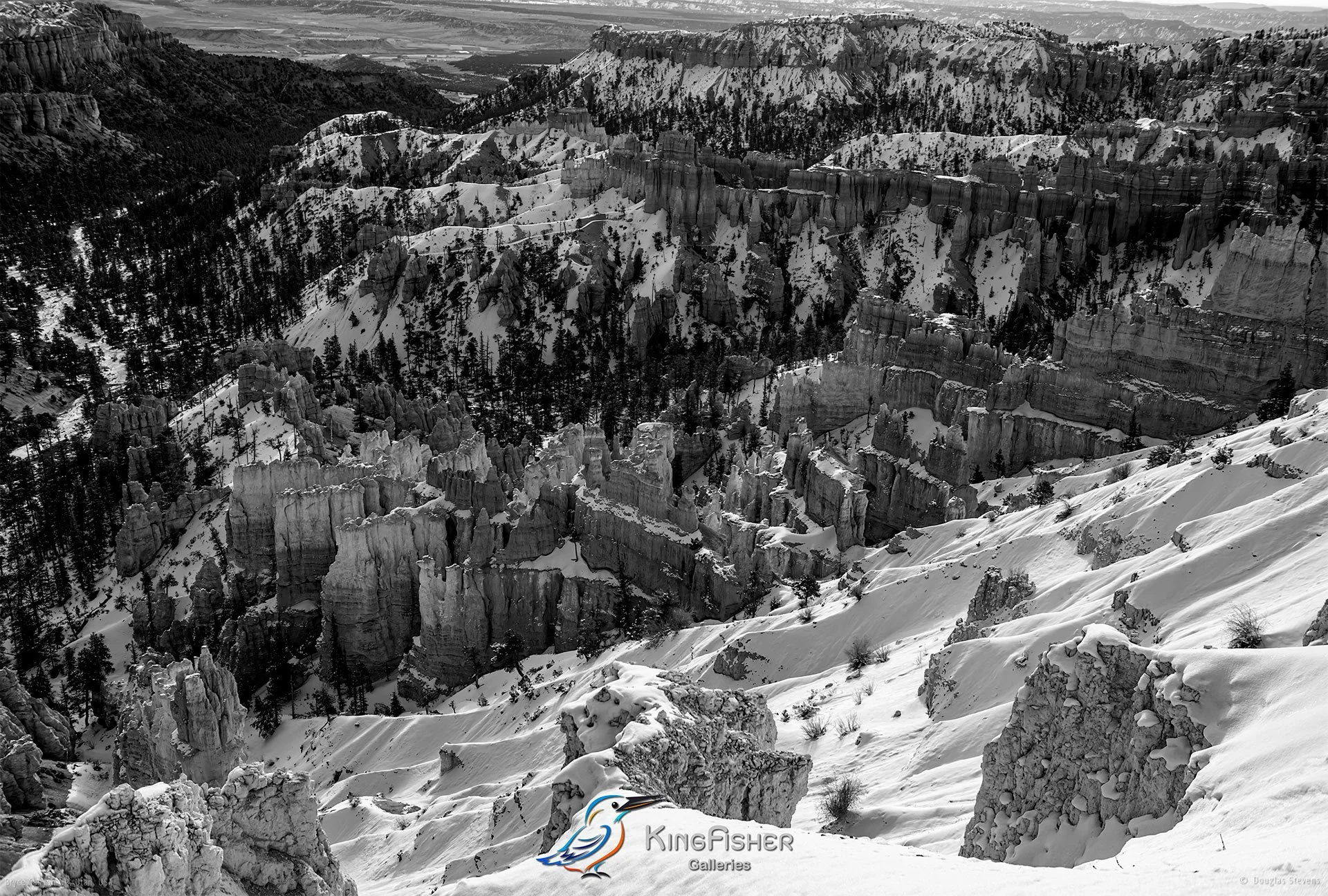 046_DST_Bryce_Canyon_NP_UT_USA_2012_L_BW.jpg