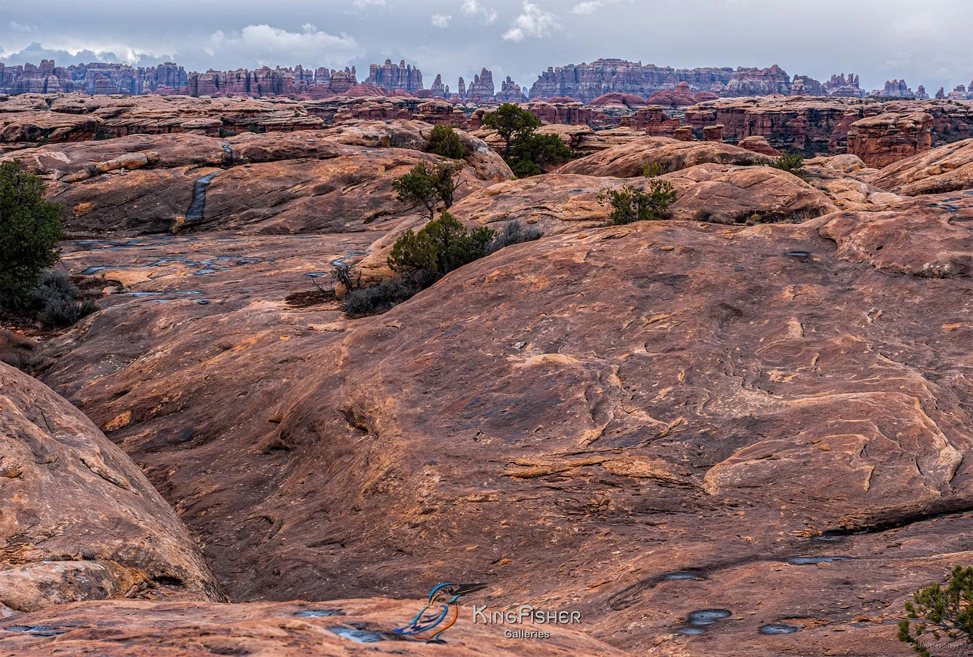 100_DST_Canyonlands_NP_UT_USA_2012_L.jpg