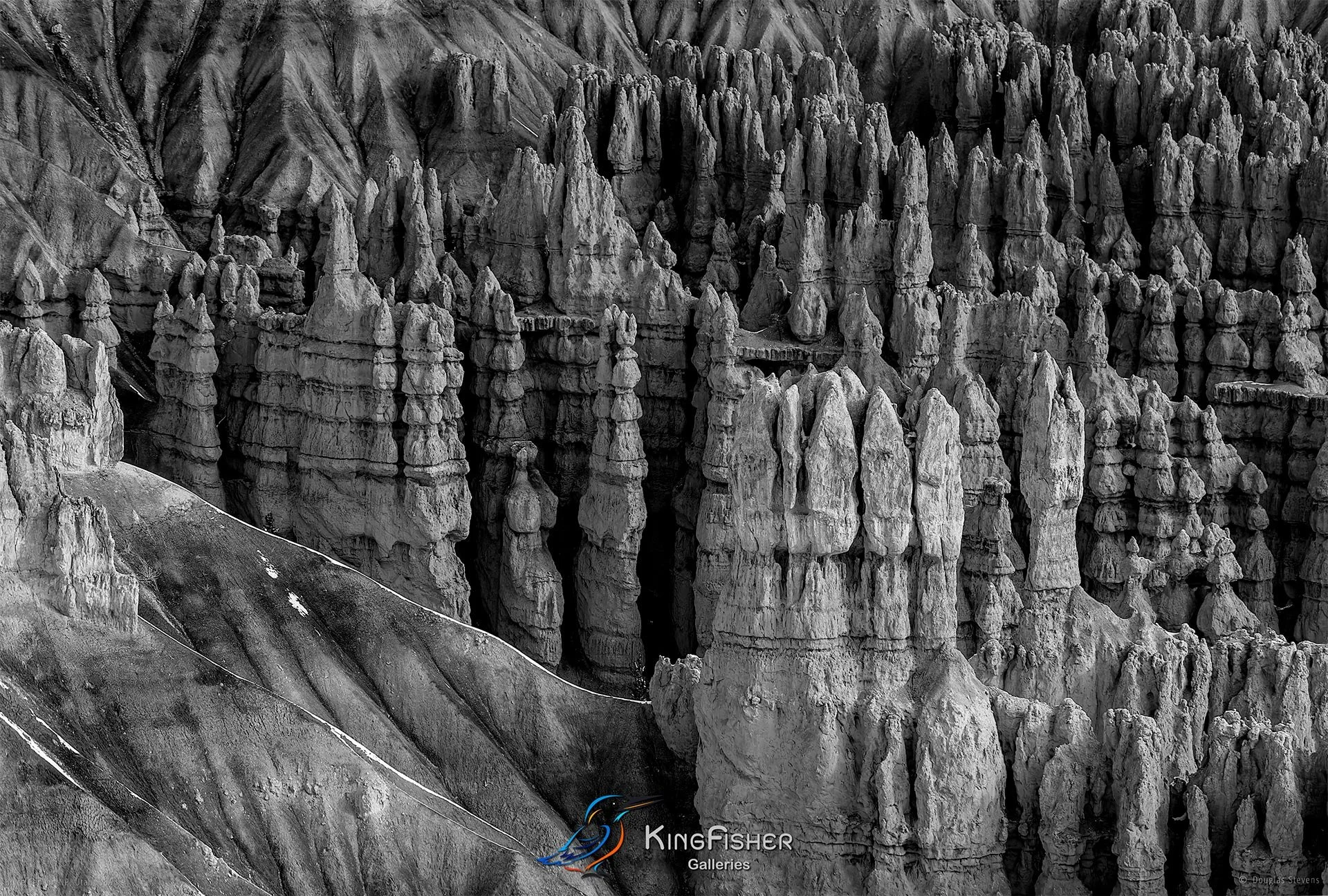 011_DST_Bryce_Canyon_NP_UT_USA_2012_L_BW.jpg