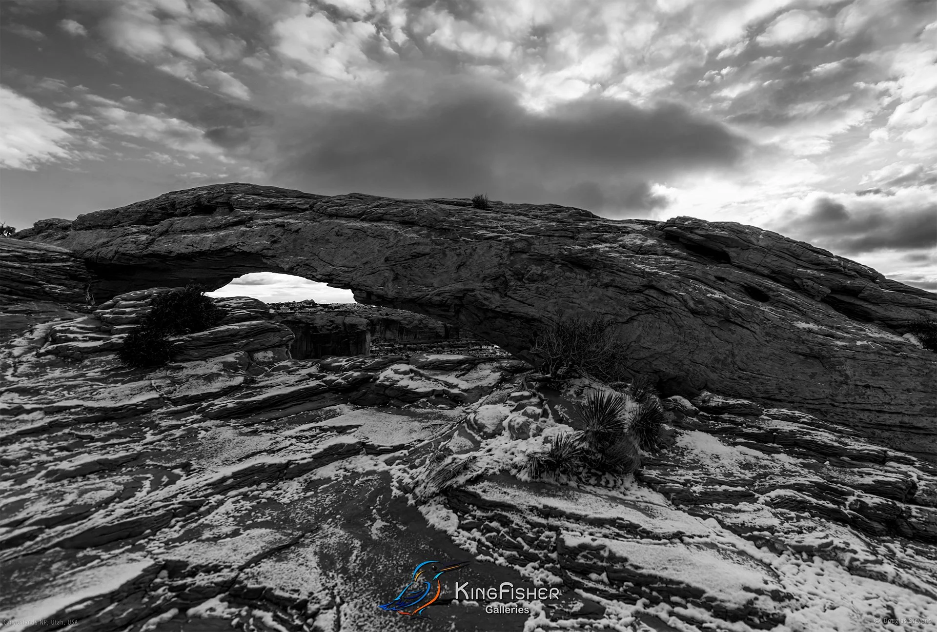 021_DST_Canyonlands_NP_UT_USA_2012_L_BW.jpg