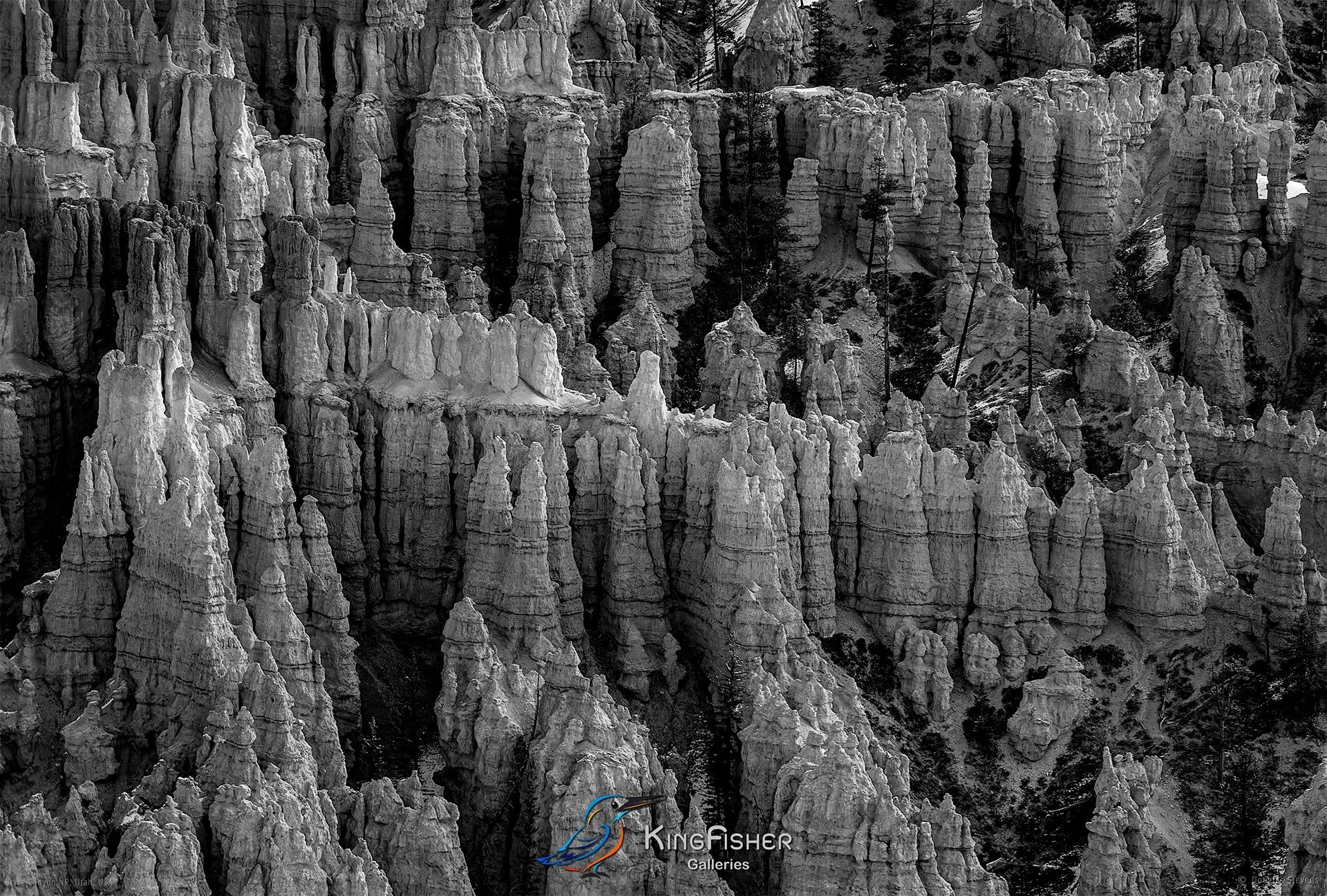 009_DST_Bryce_Canyon_NP_UT_USA_2012_L_BW.jpg