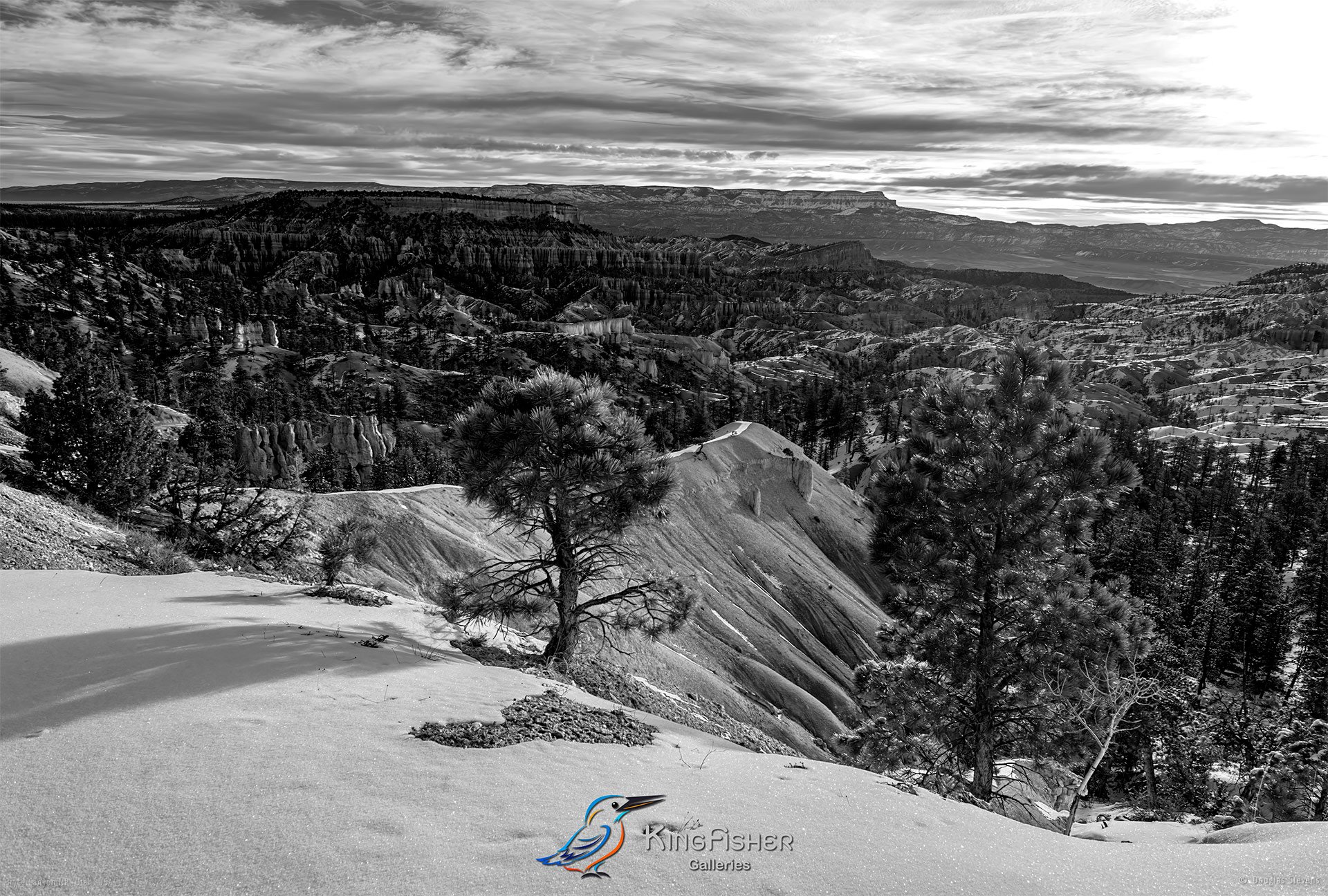 053_DST_Bryce_Canyon_NP_UT_USA_2012_L_BW.jpg