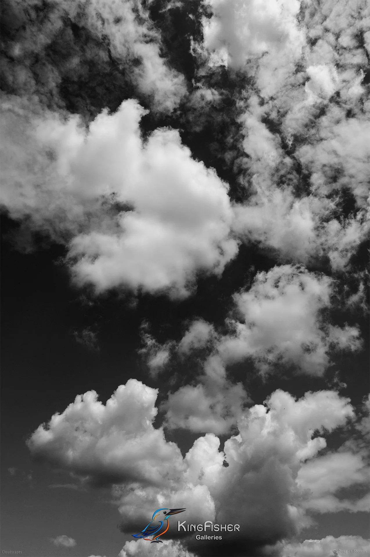 091_DST_Cloudscapes_2014_P_BW.jpg