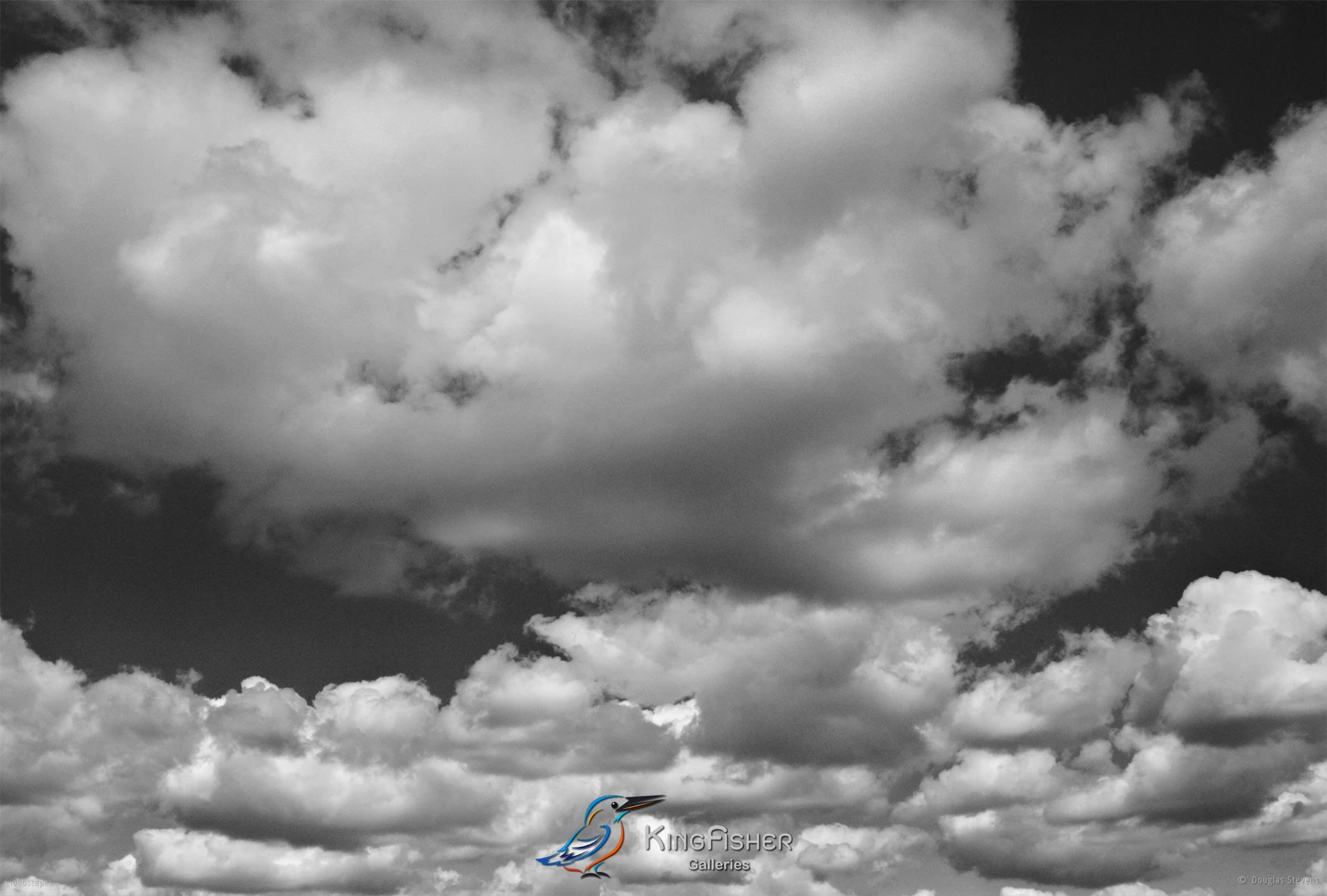 006_DST_Cloudscapes_2010_L_BW.jpg