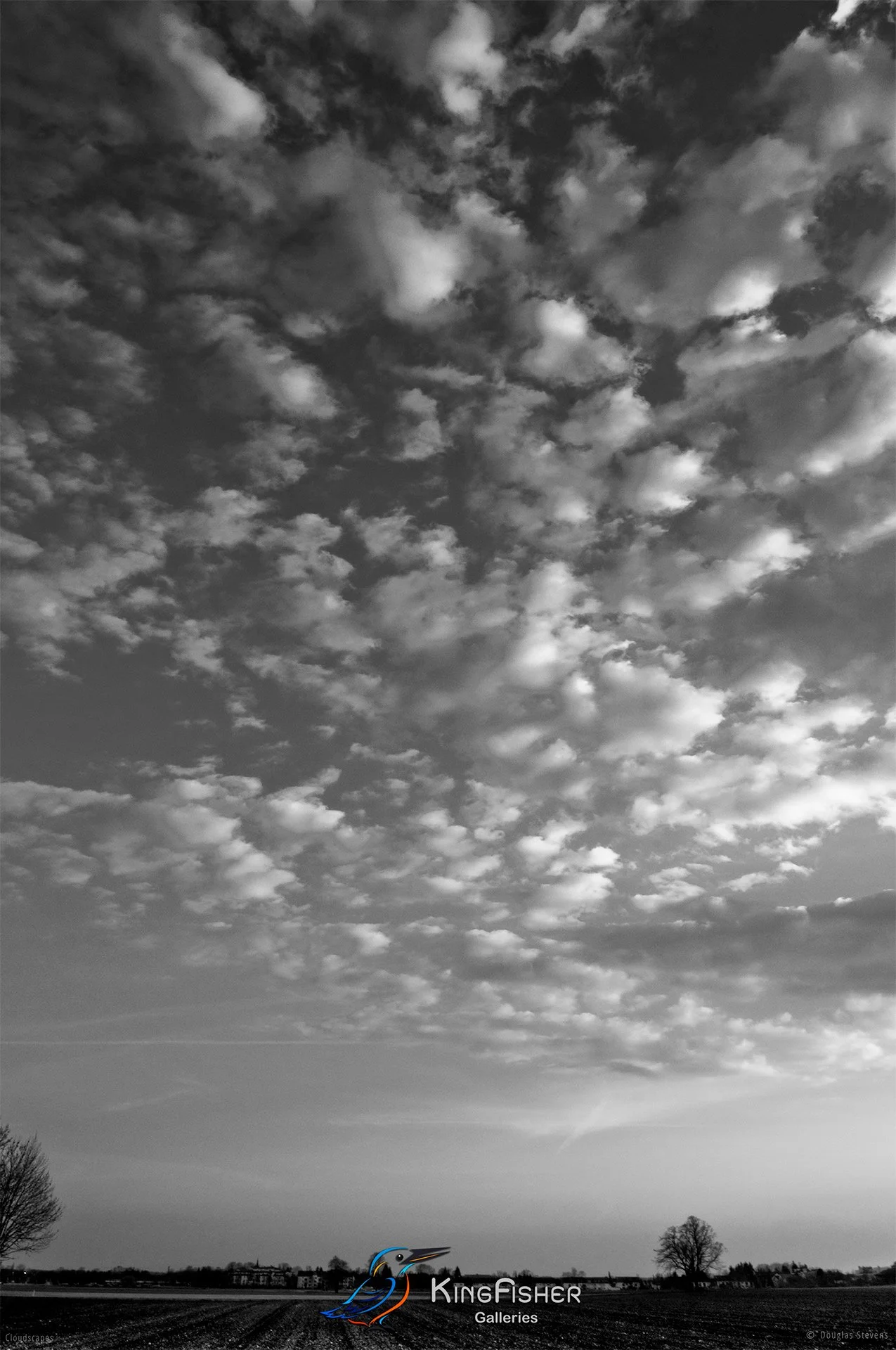 003_DST_Cloudscapes_2010_P_BW.jpg