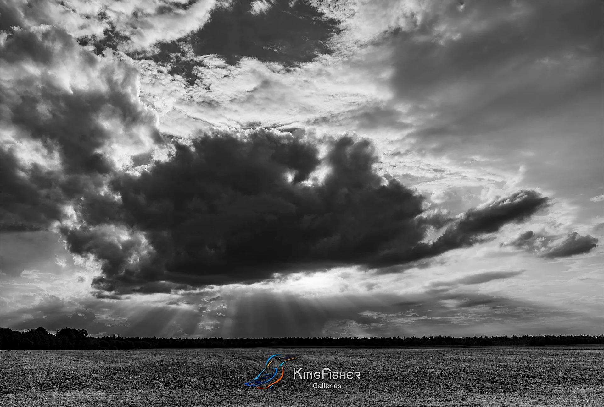 179_DST_Cloudscapes_2020_L_BW.jpg