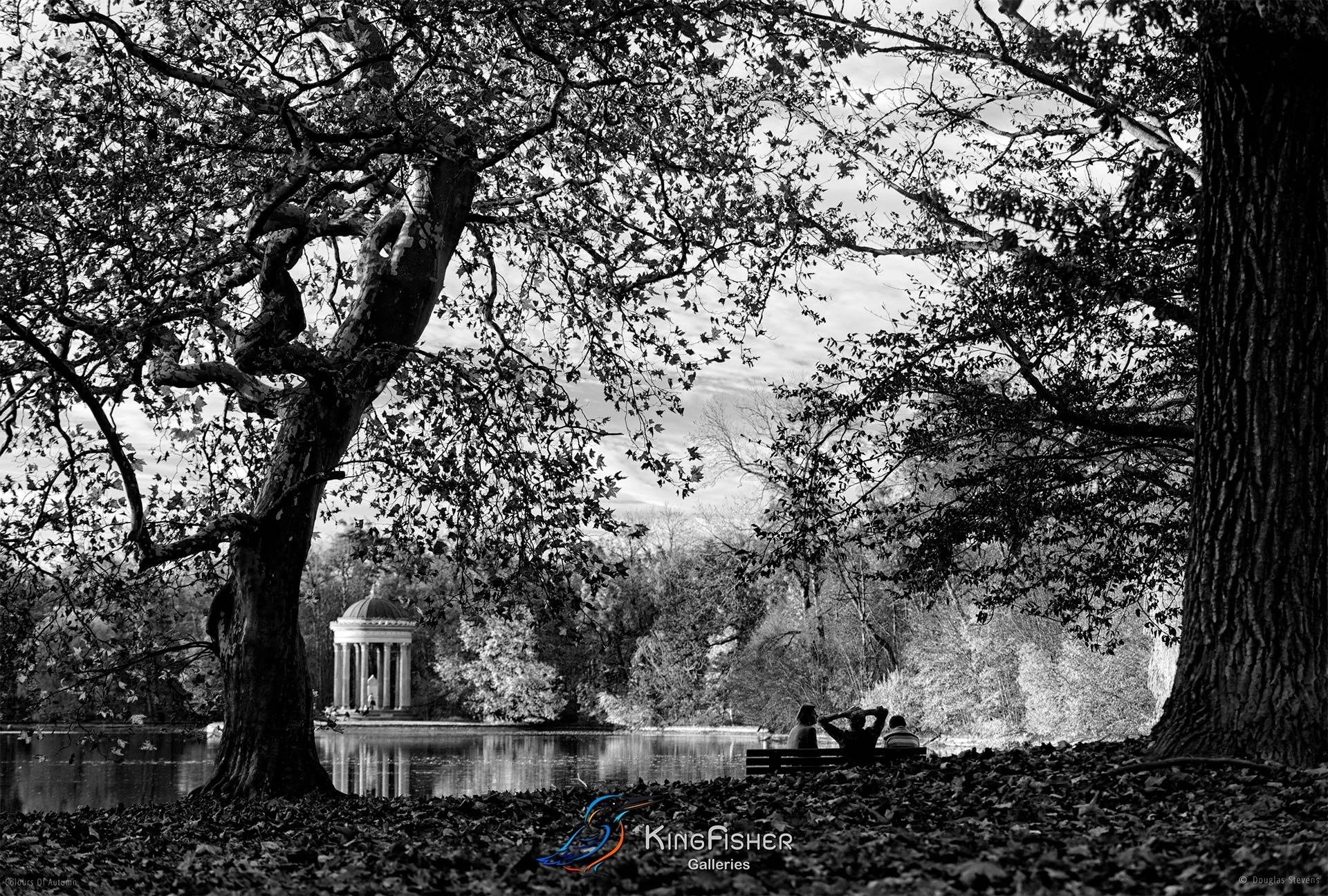061_DST_Colours_Of_Autumn_L_BW.jpg