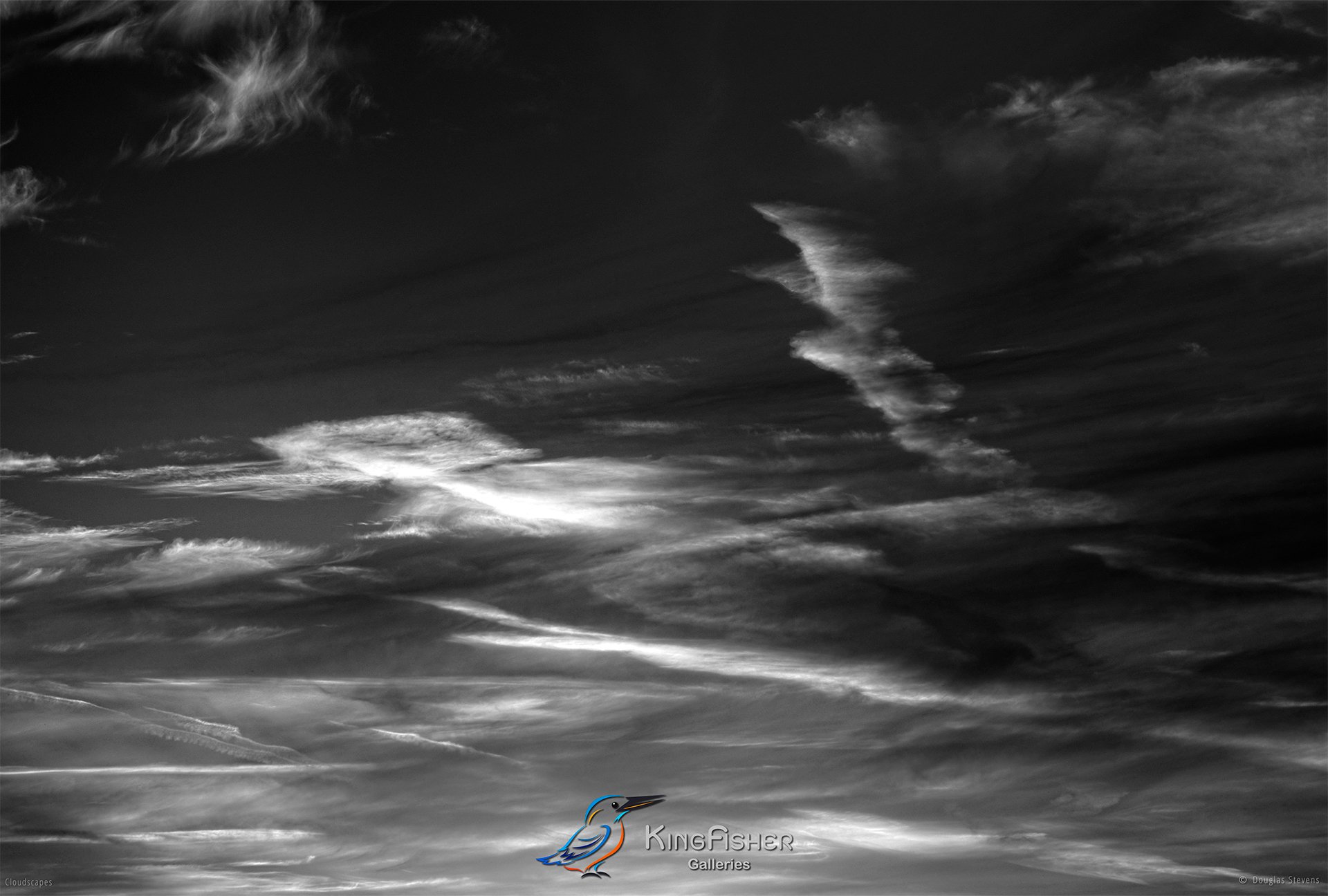 101_DST_Cloudscapes_2014_L_BW.jpg