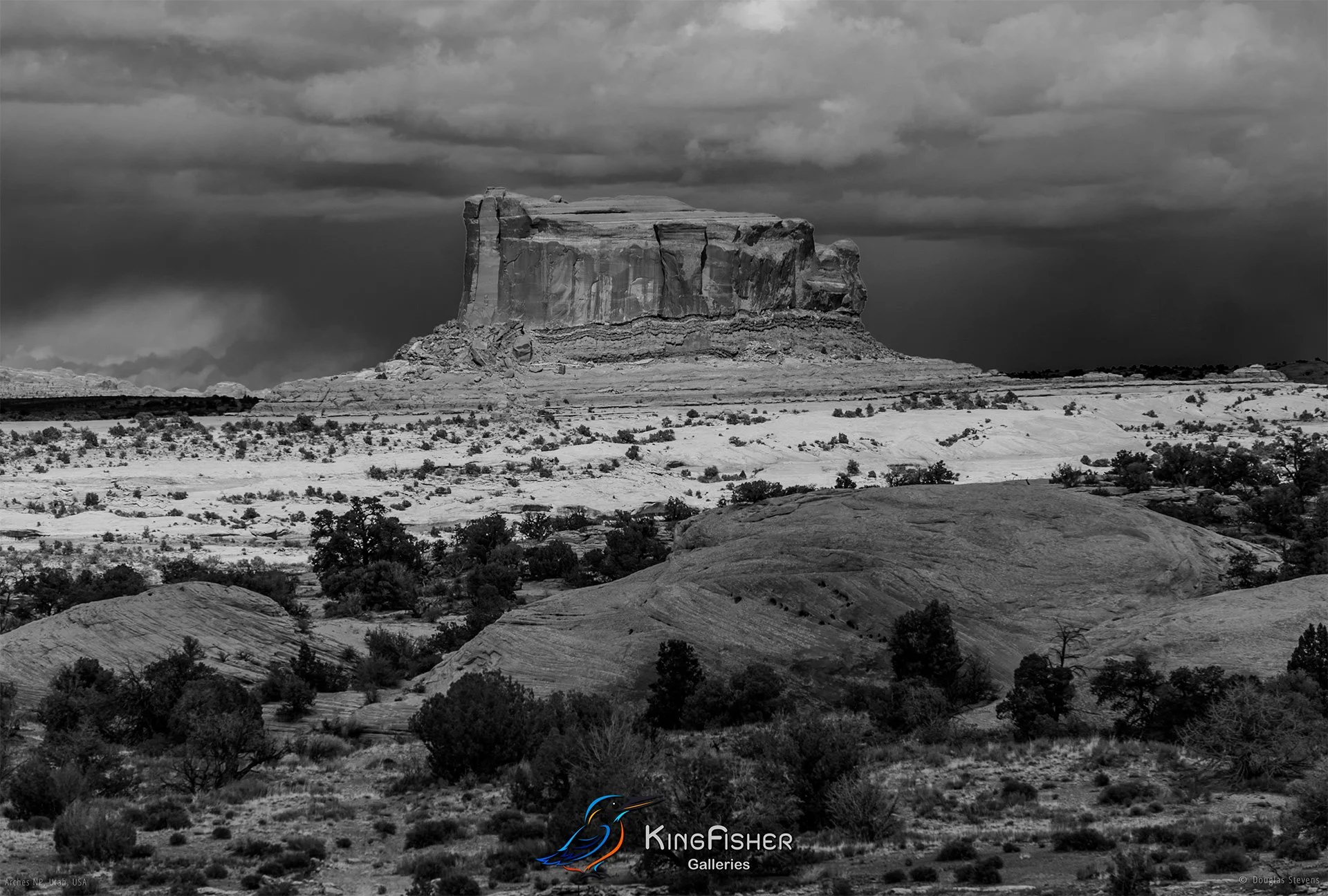 024_DST_Arches_NP_UT_USA_2012_L_BW.jpg