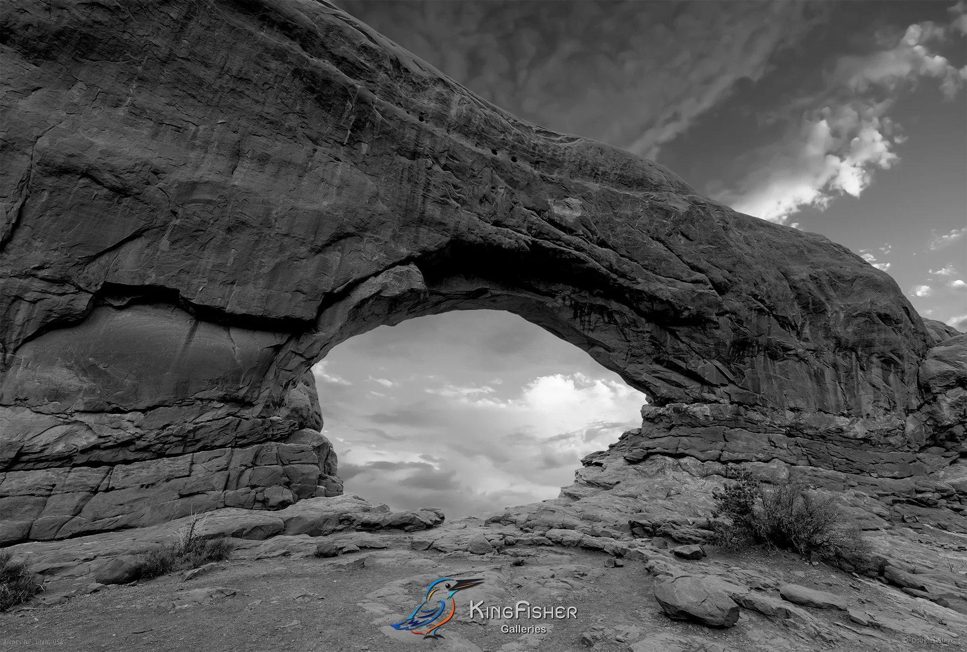 005_DST_Arches_NP_UT_USA_2012_L_BW.jpg