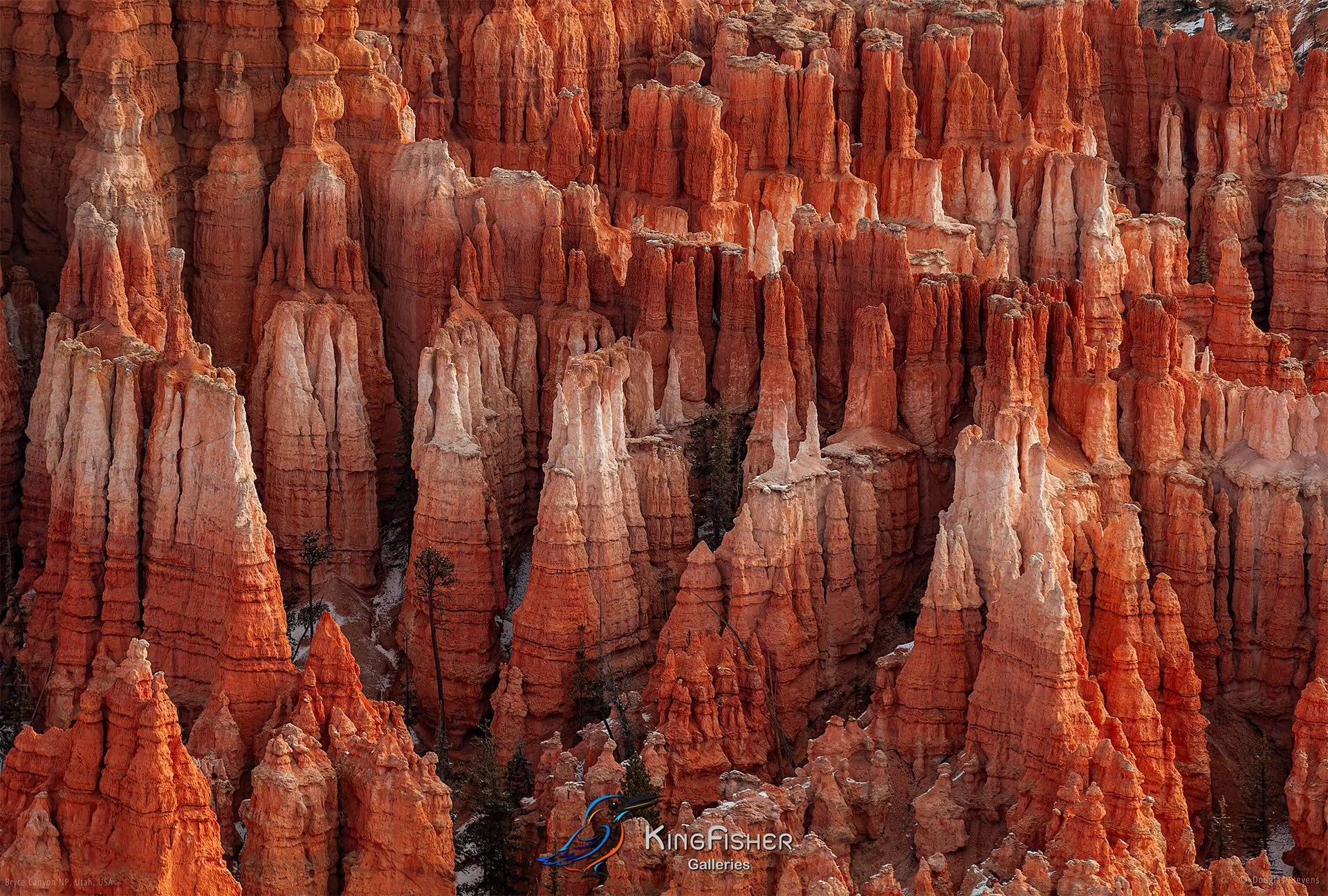 016_DST_Bryce_Canyon_NP_UT_USA_2012_L.jpg