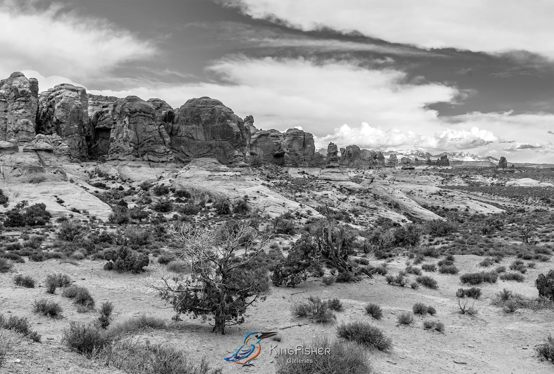 014_DST_Arches_NP_UT_USA_2012_L_BW.jpg