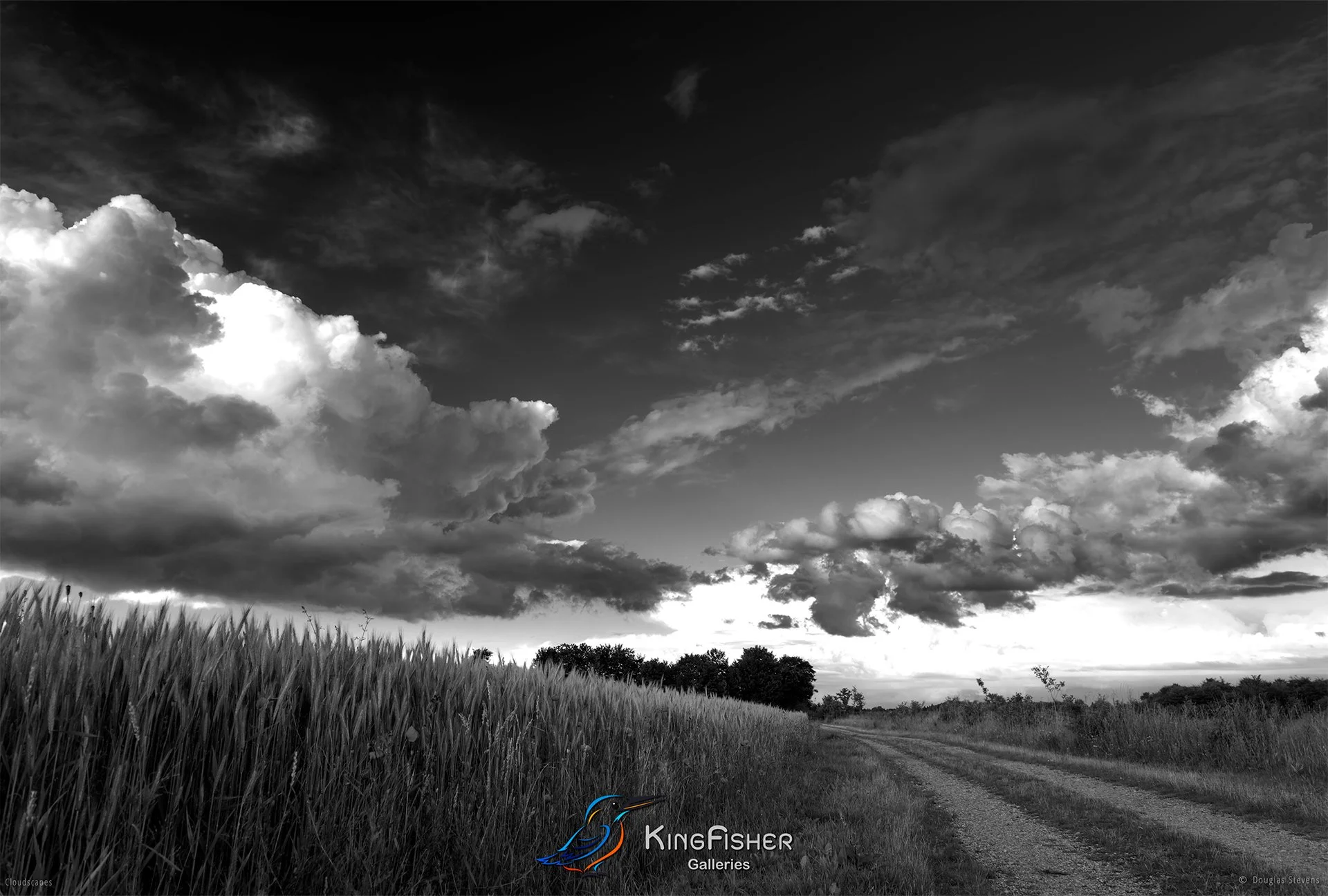 066_DST_Cloudscapes_2012_L_BW.jpg