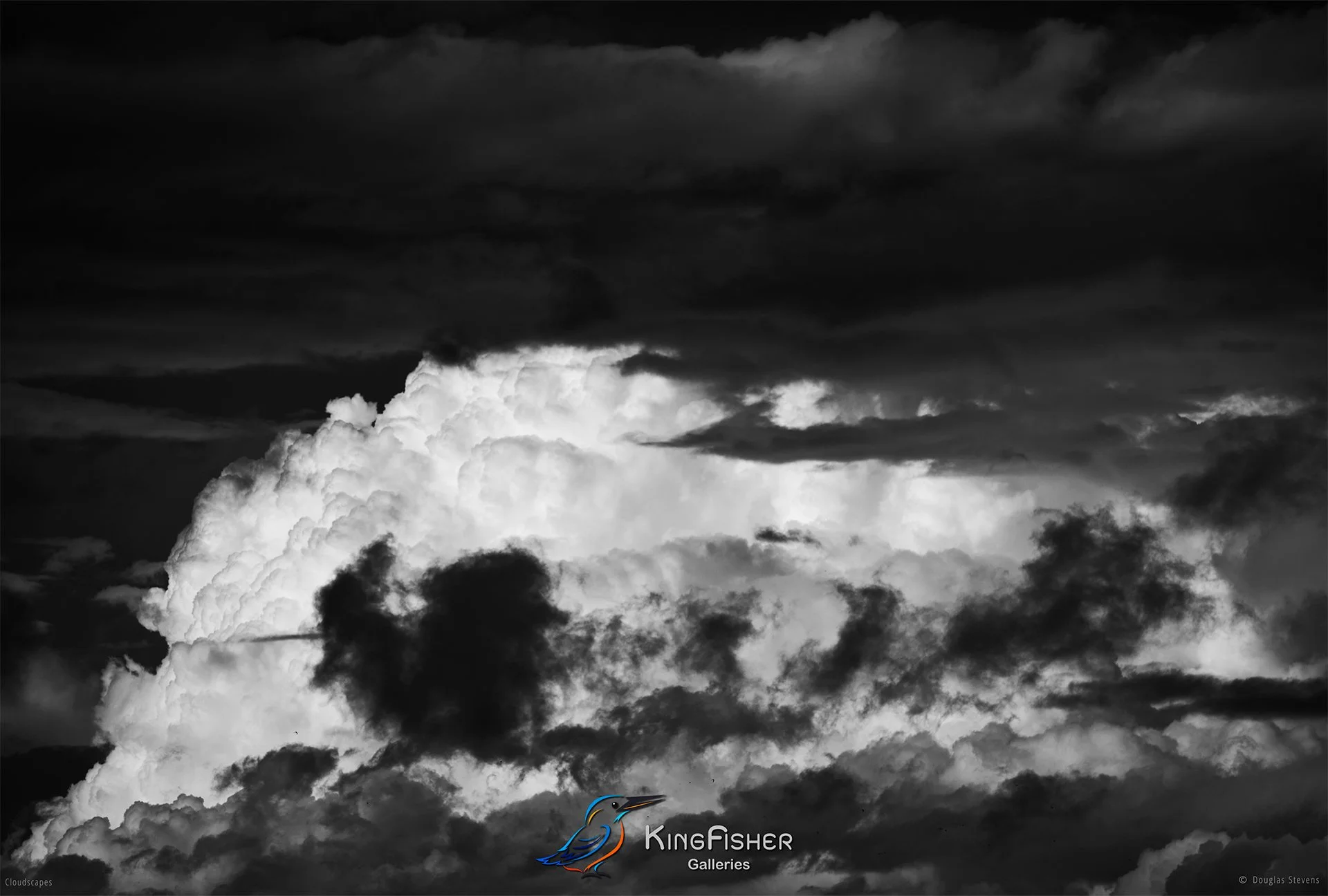 041_DST_Cloudscapes_2011_L_BW.jpg