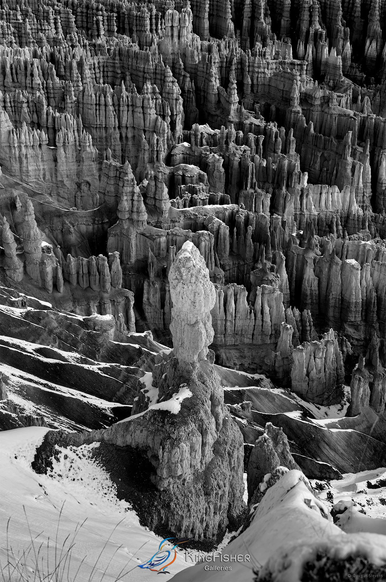 032_DST_Bryce_Canyon_NP_UT_USA_2012_P_BW.jpg