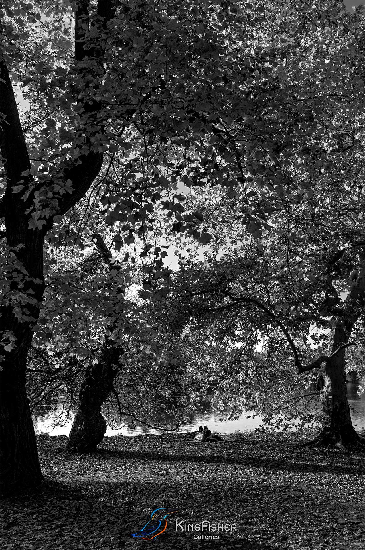 082_DST_Colours_Of_Autumn_P_BW.jpg