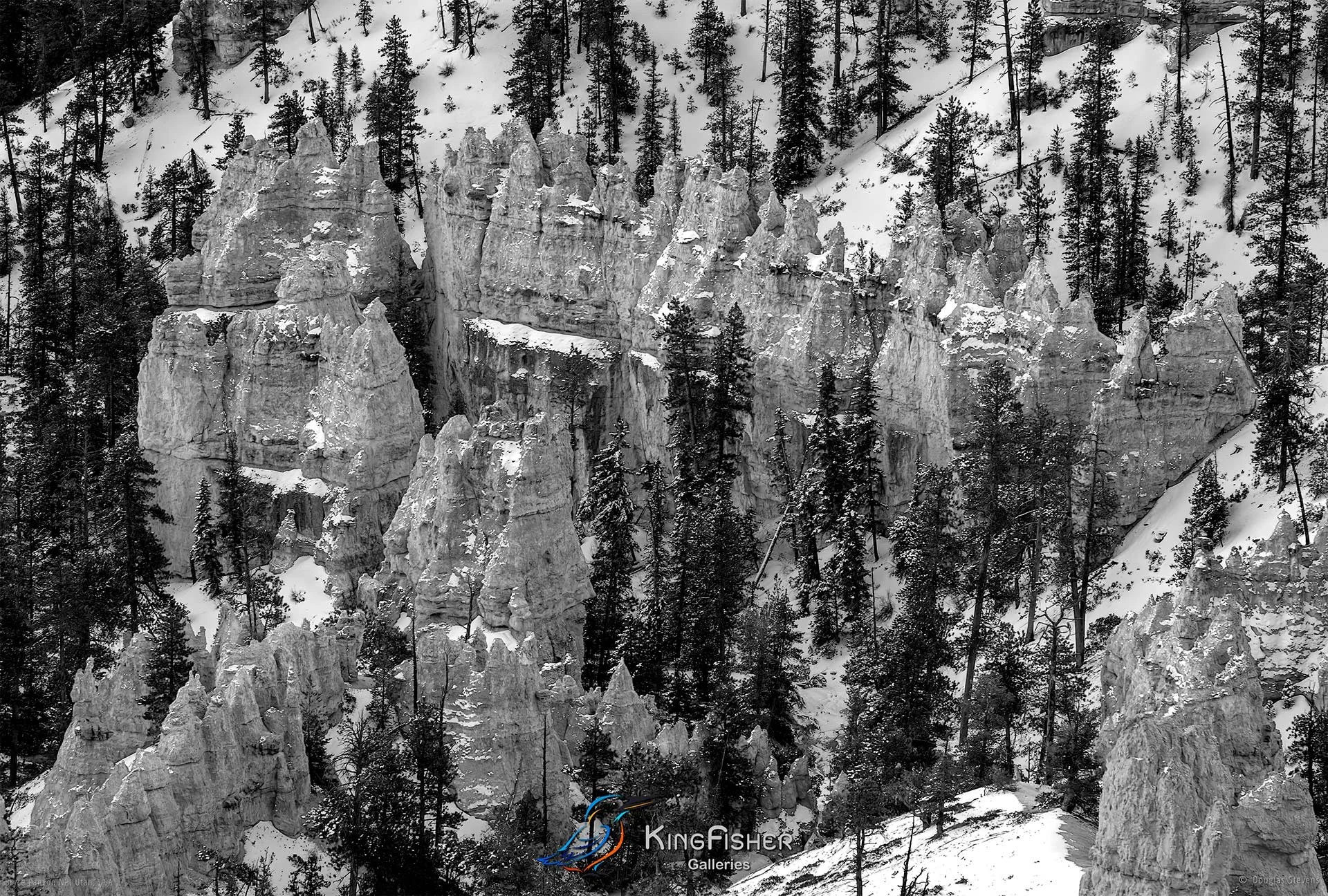 008_DST_Bryce_Canyon_NP_UT_USA_2012_L_BW.jpg