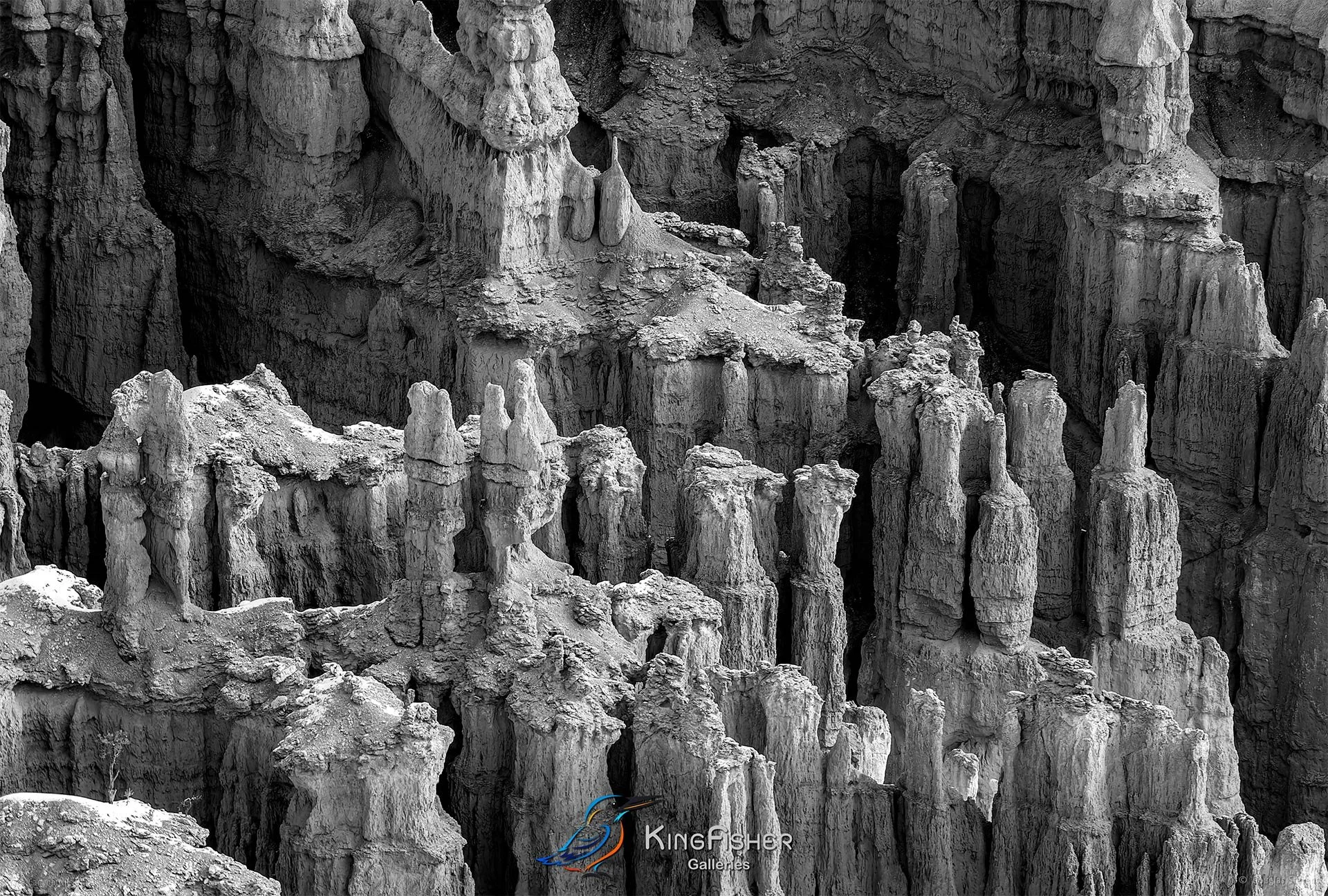 015_DST_Bryce_Canyon_NP_UT_USA_2012_L_BW.jpg