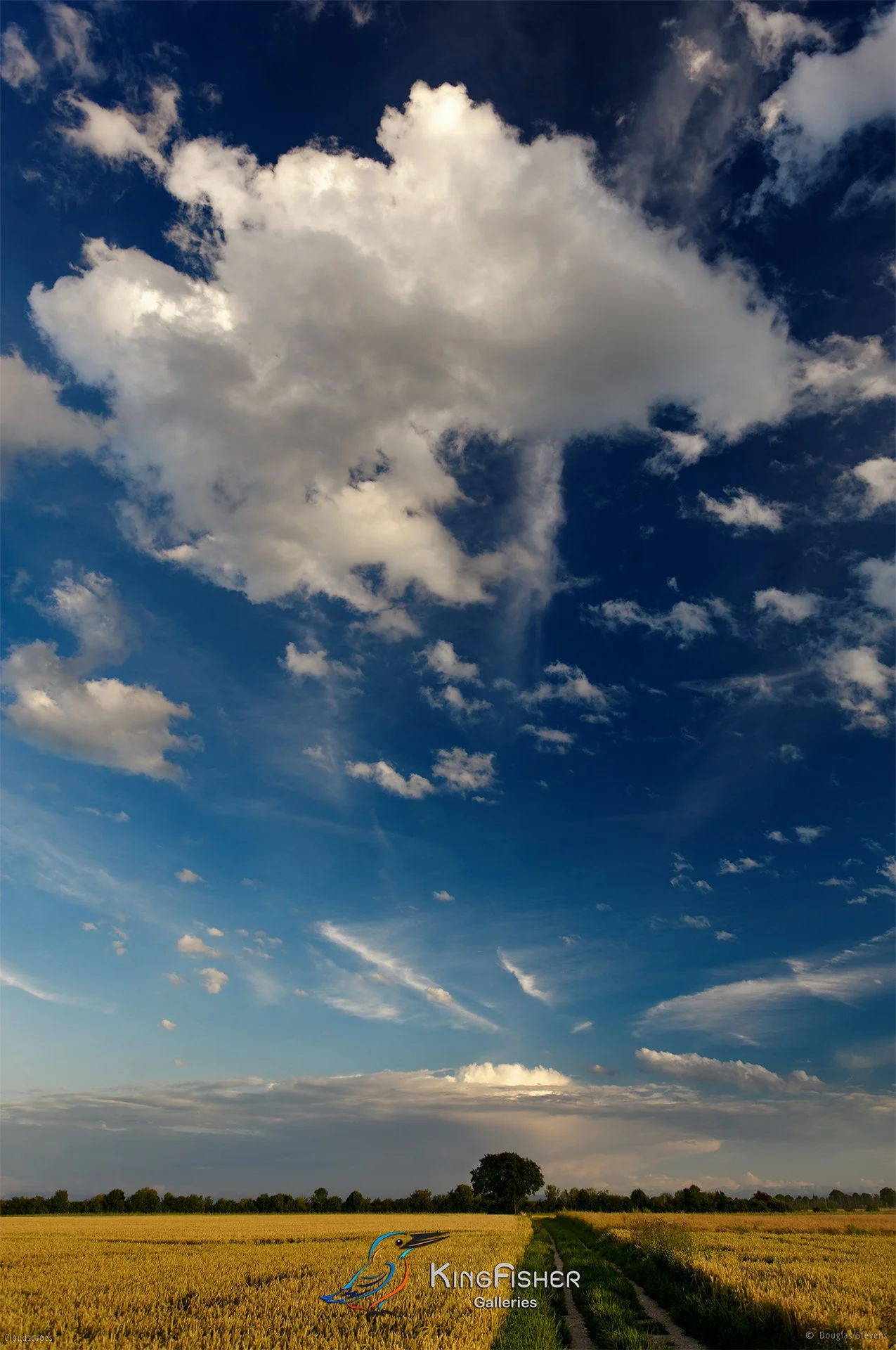 115_DST_Cloudscapes_2015_P.jpg