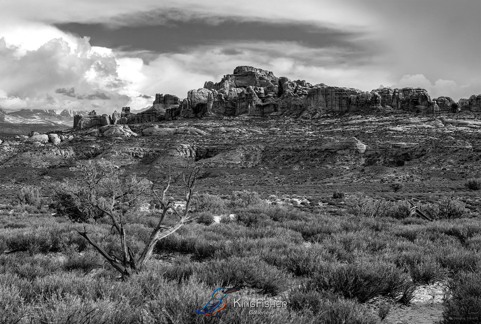 056_DST_Arches_NP_UT_USA_2012_L_BW.jpg