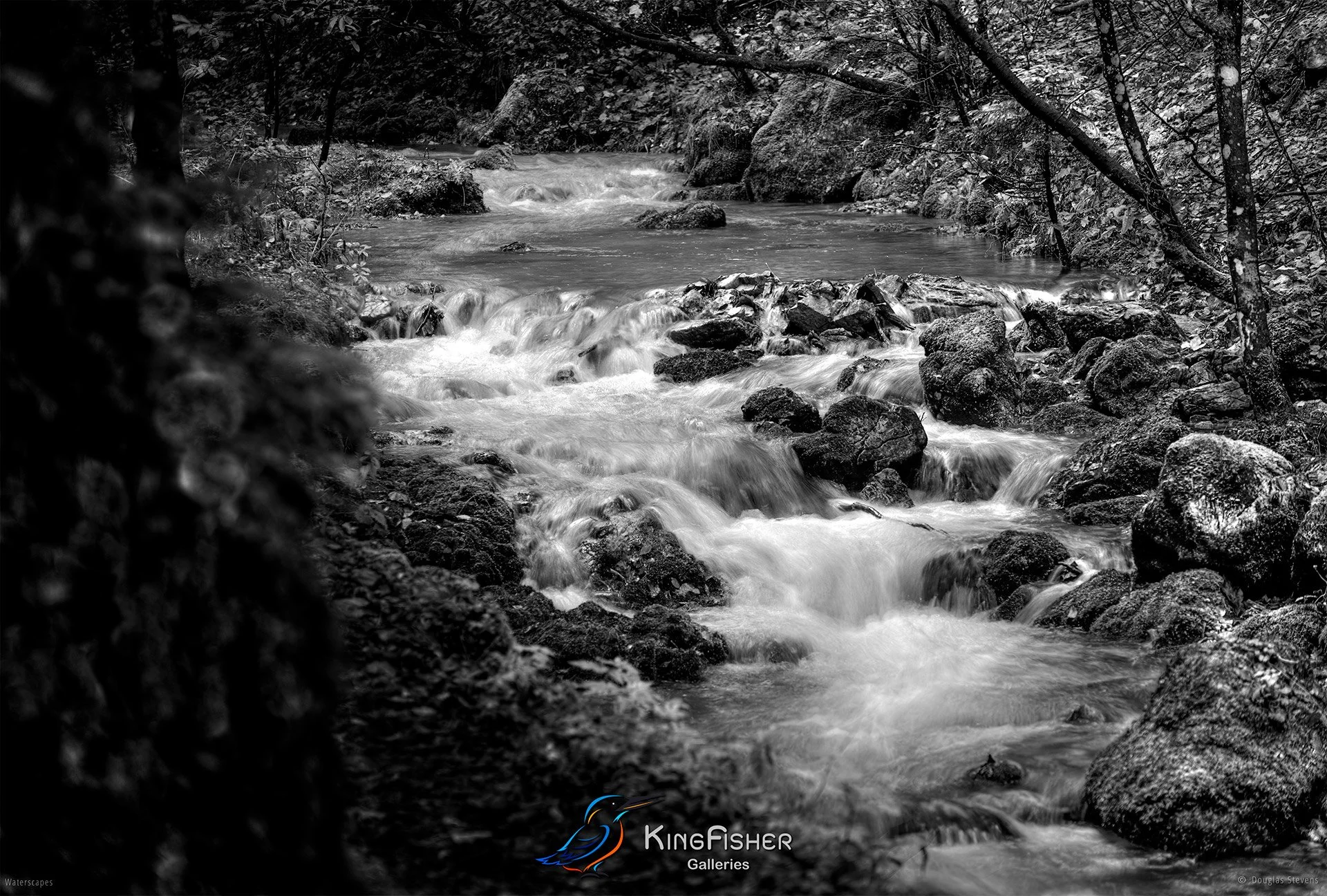 001_DST_The_Power_Of_Water_L_BW.jpg