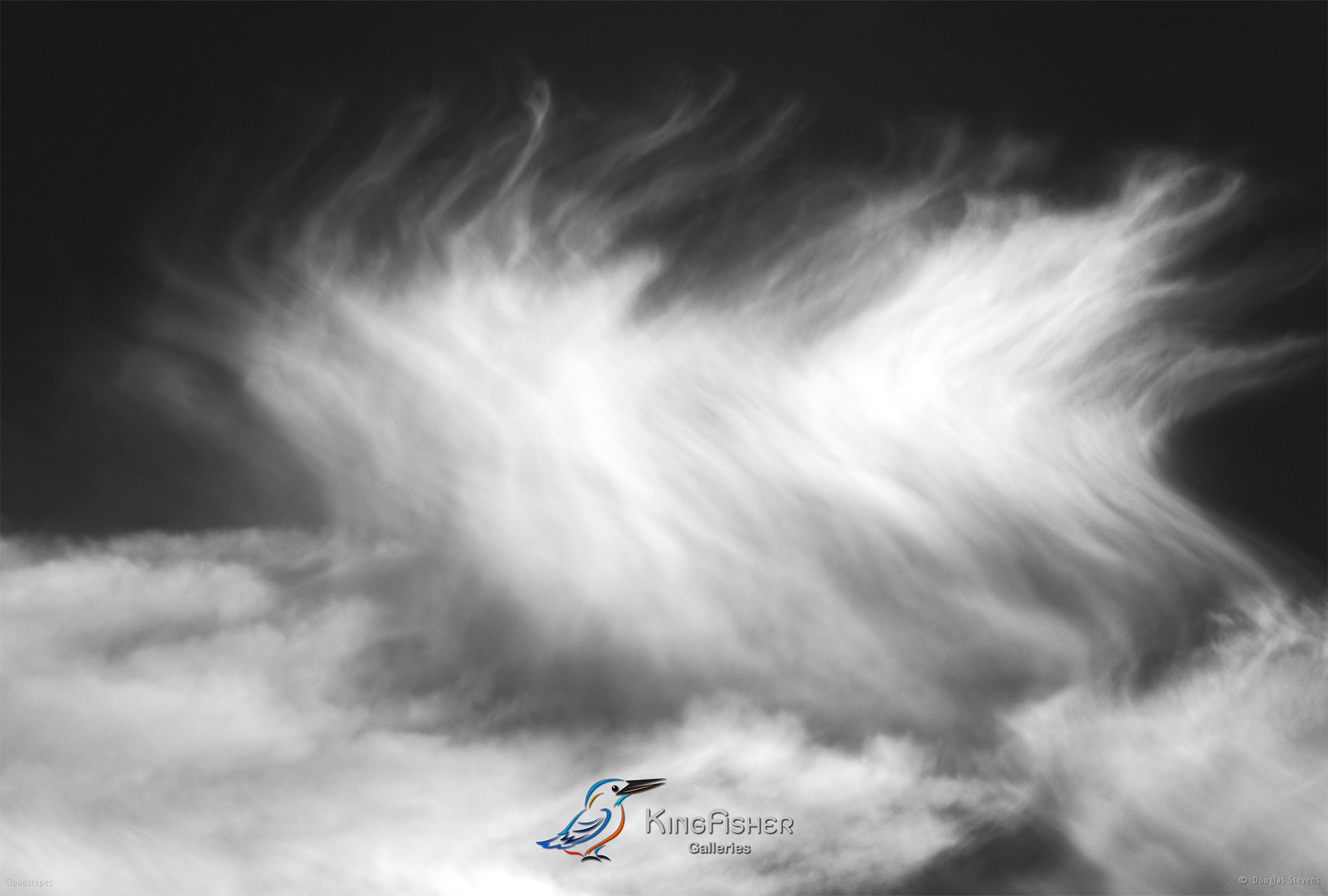 108_DST_Cloudscapes_2015_L_BW.jpg